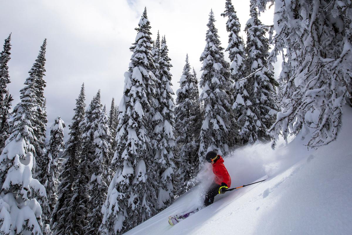 Elevation Bike, Ski & Board Winter Sun Peaks Resort