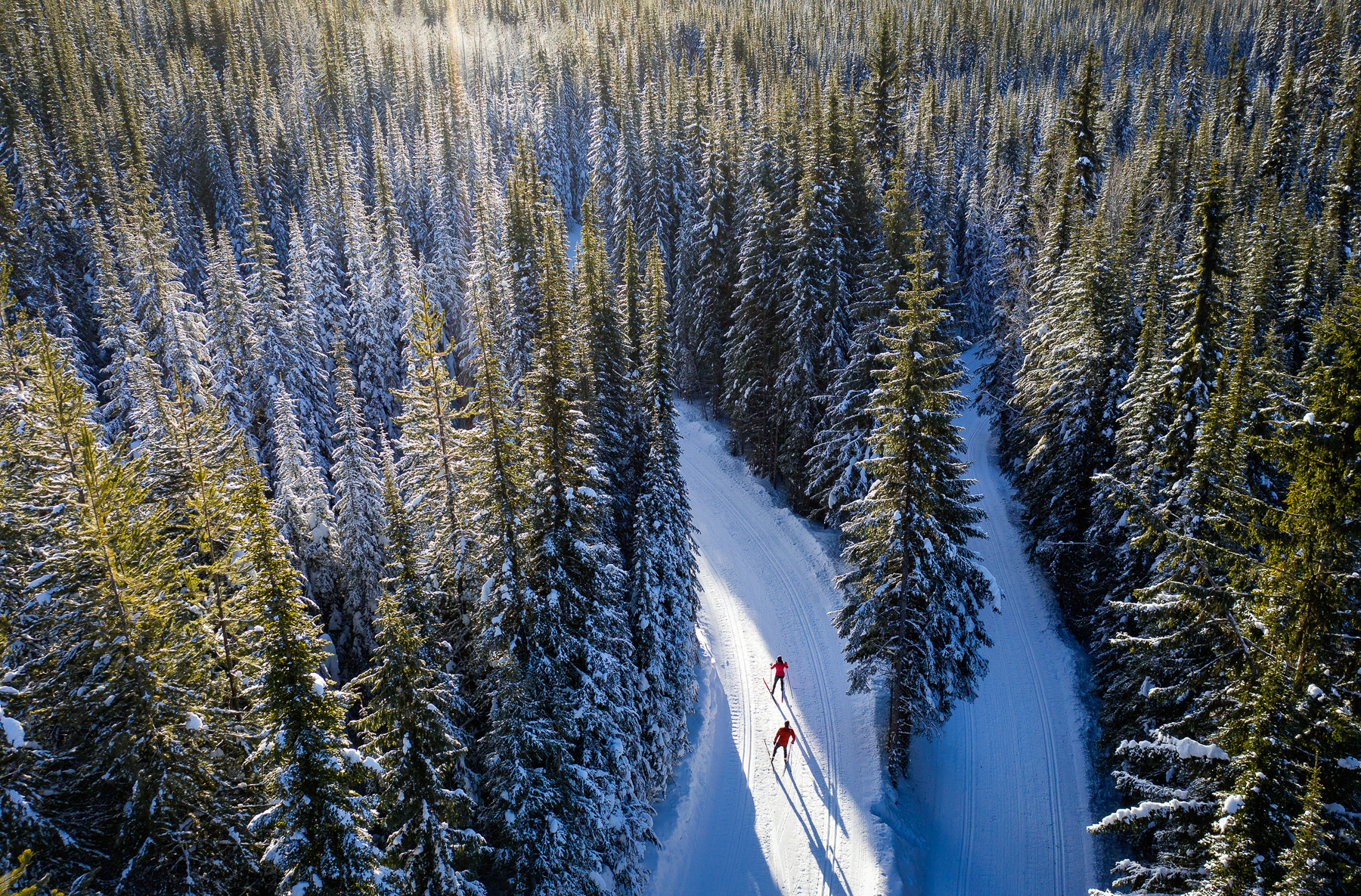 aerial image of nordic skiers in the sun peaks forest