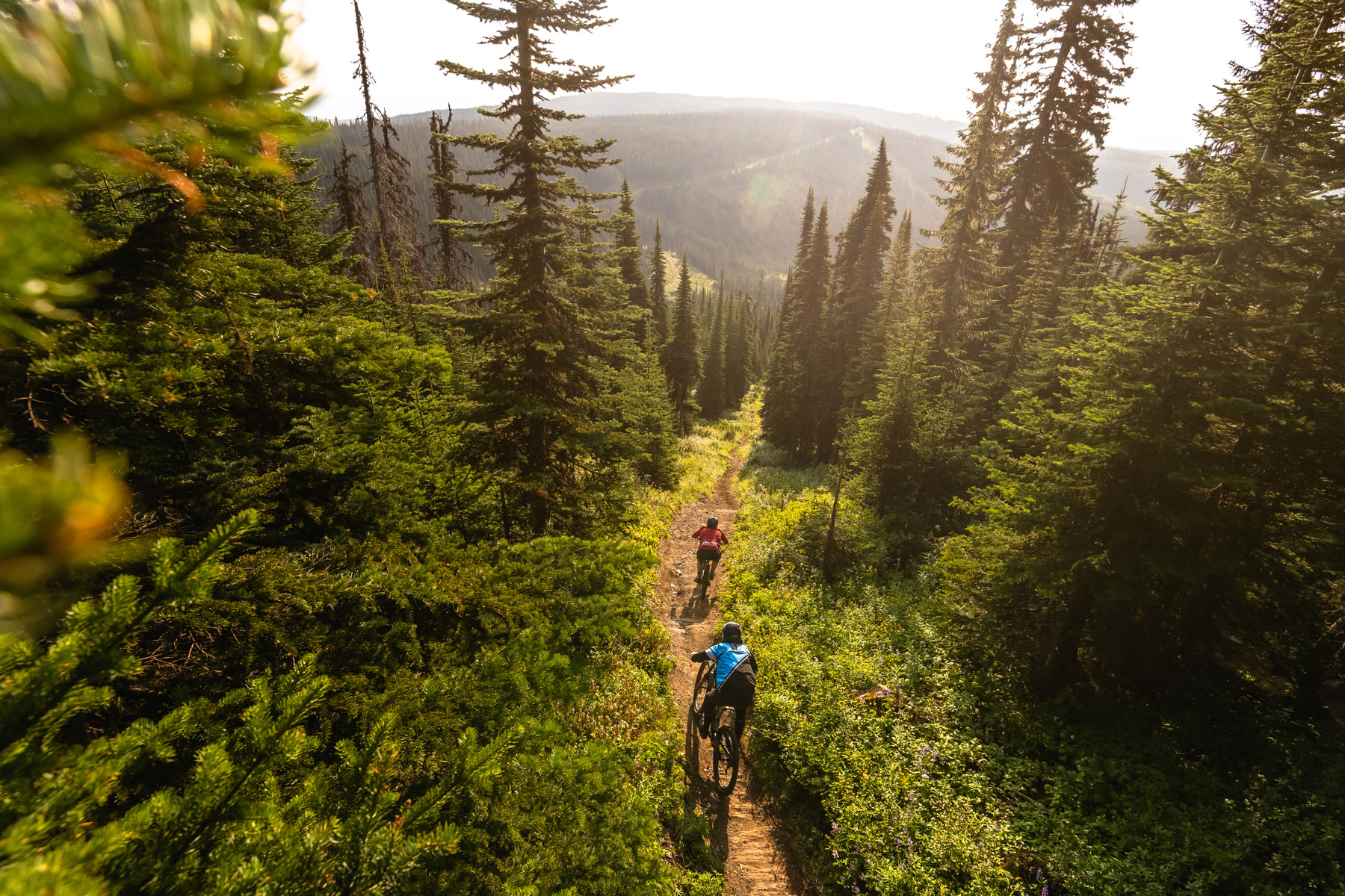 Two bikers on a trail