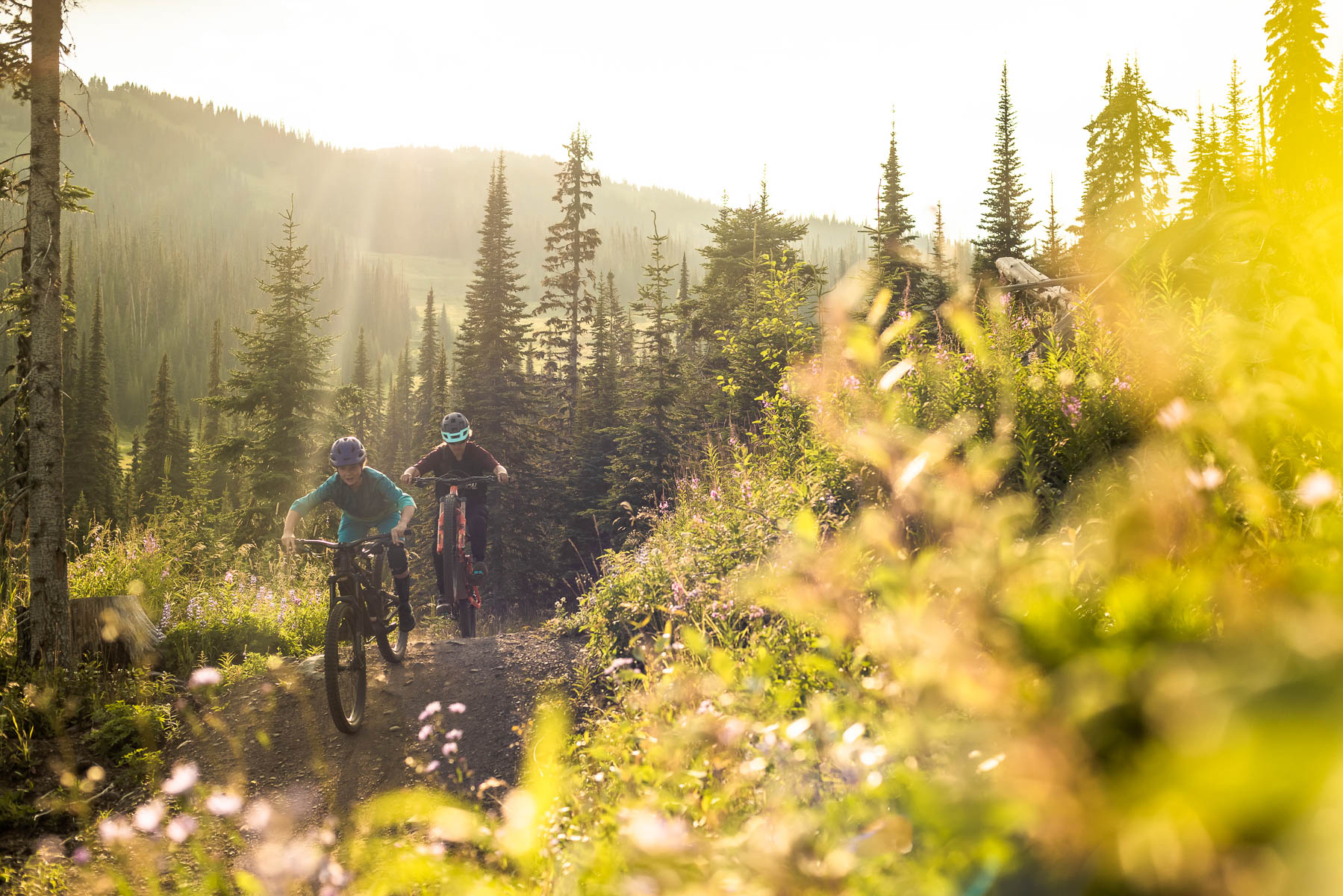 family biking in sun peaks