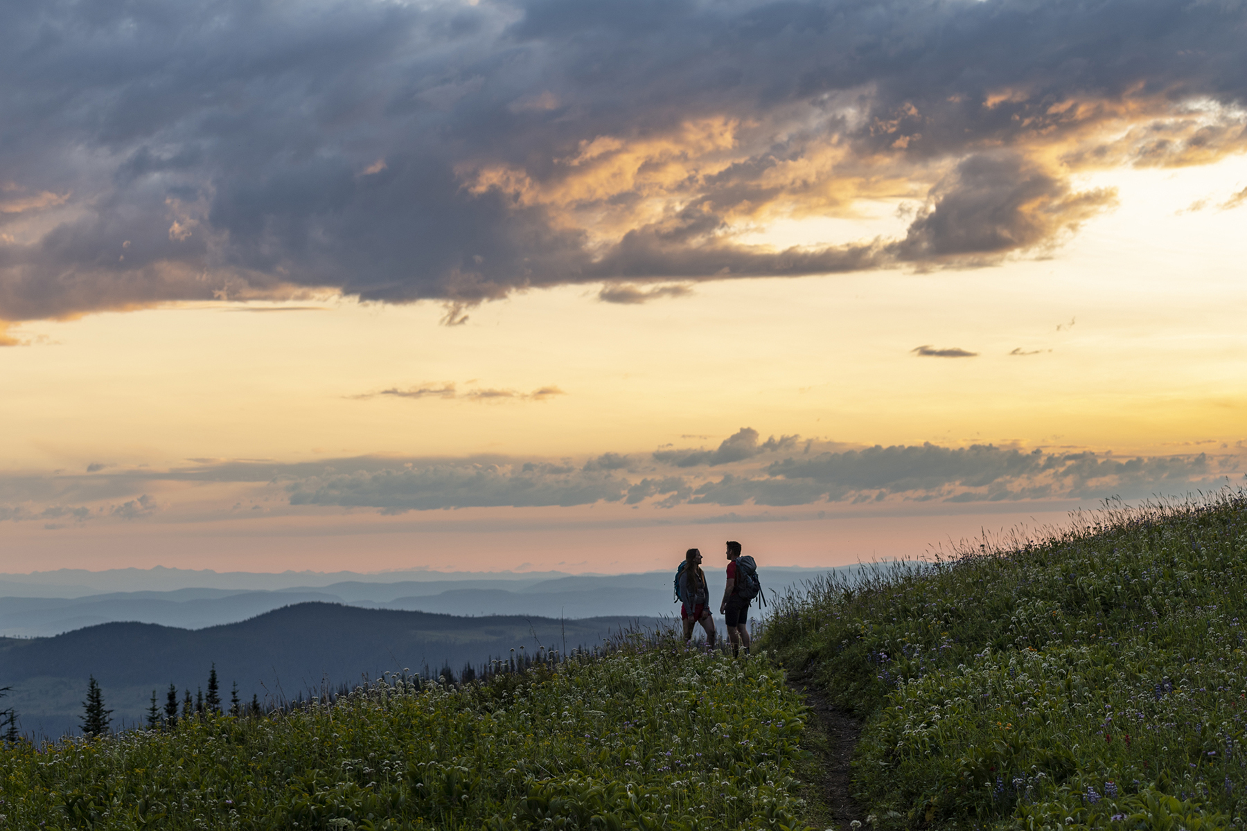 hiking in the sun peaks alpine