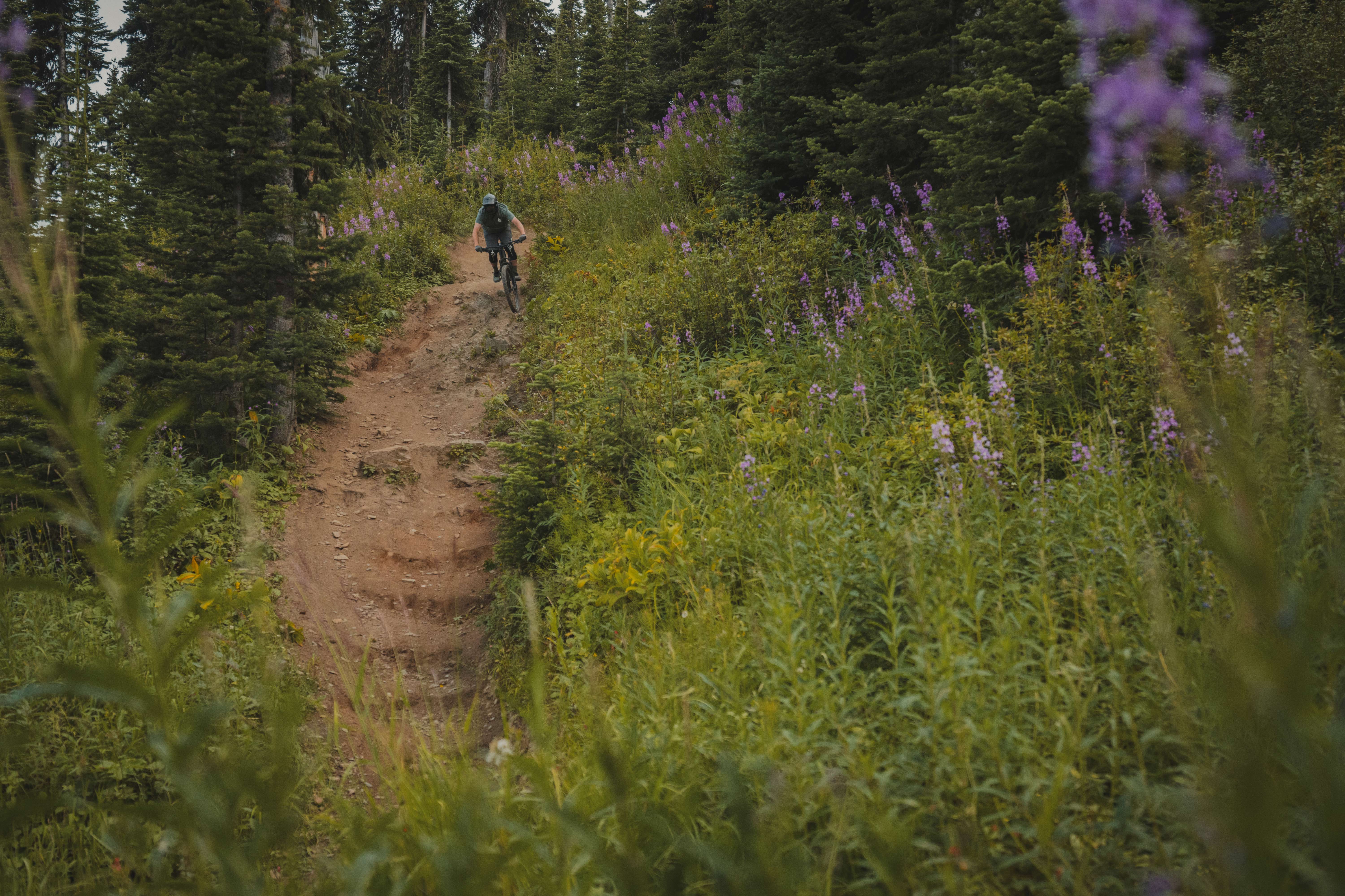 Mountain biker riding down a tech trail surrounded by greenery. 