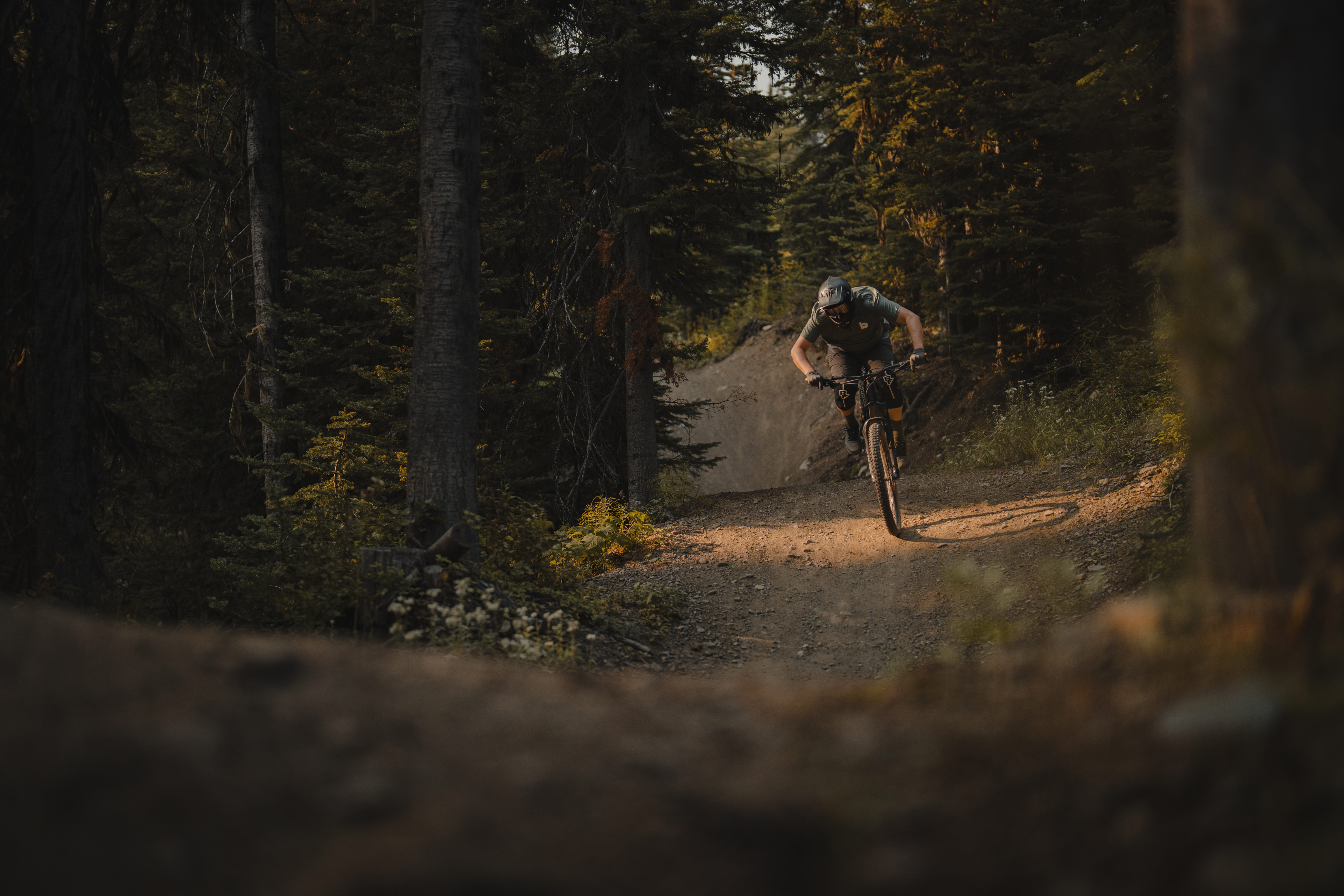 Mountain biker landing a jump on a flow trail in the forest.