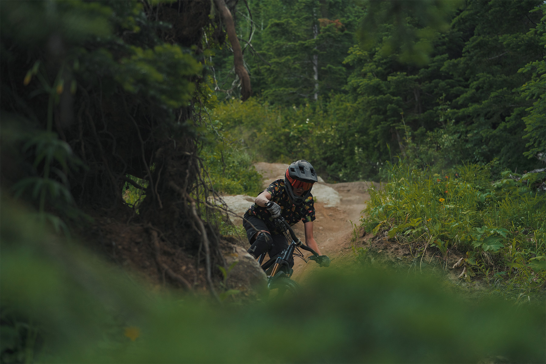 Mountain biker riding down a trail in the forest
