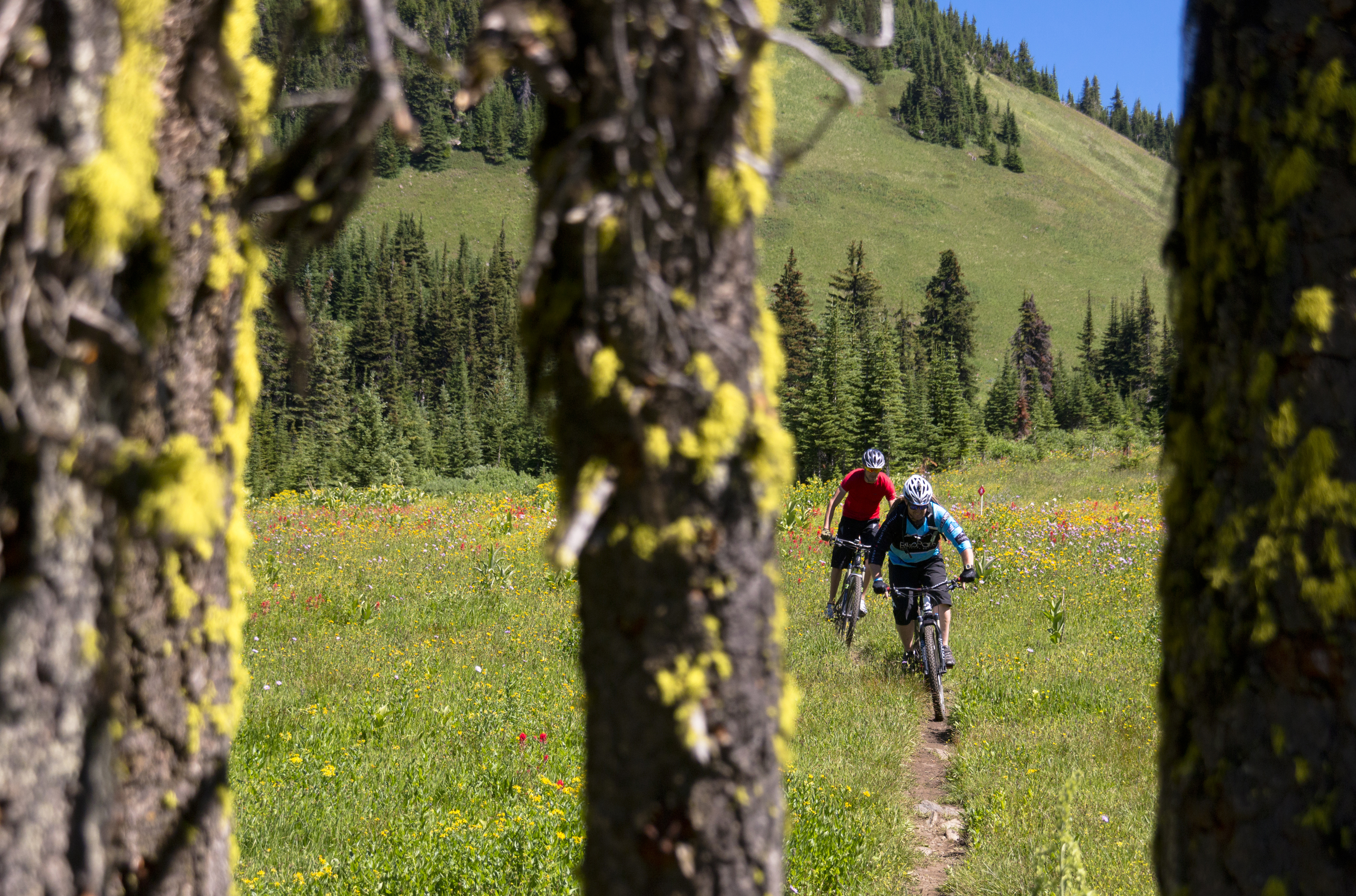 Altitude XC Trail Descent