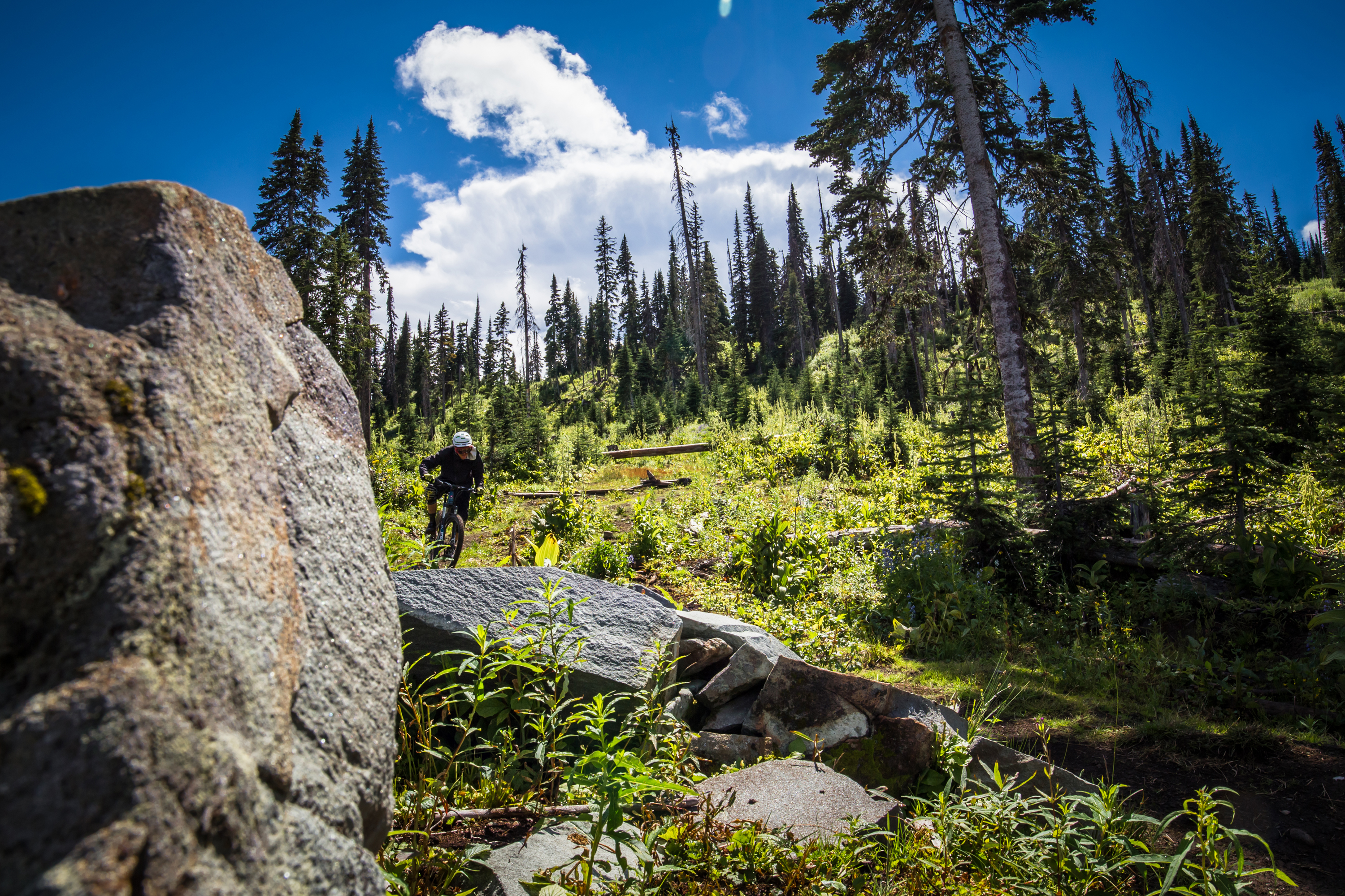 Big Rock Ride XC Trail