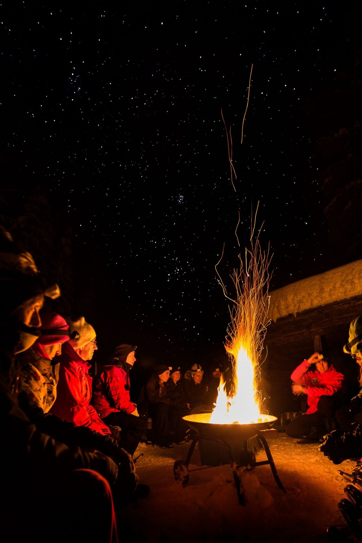 A group sits around a roaring campfire in winter under a dark, starry sky.