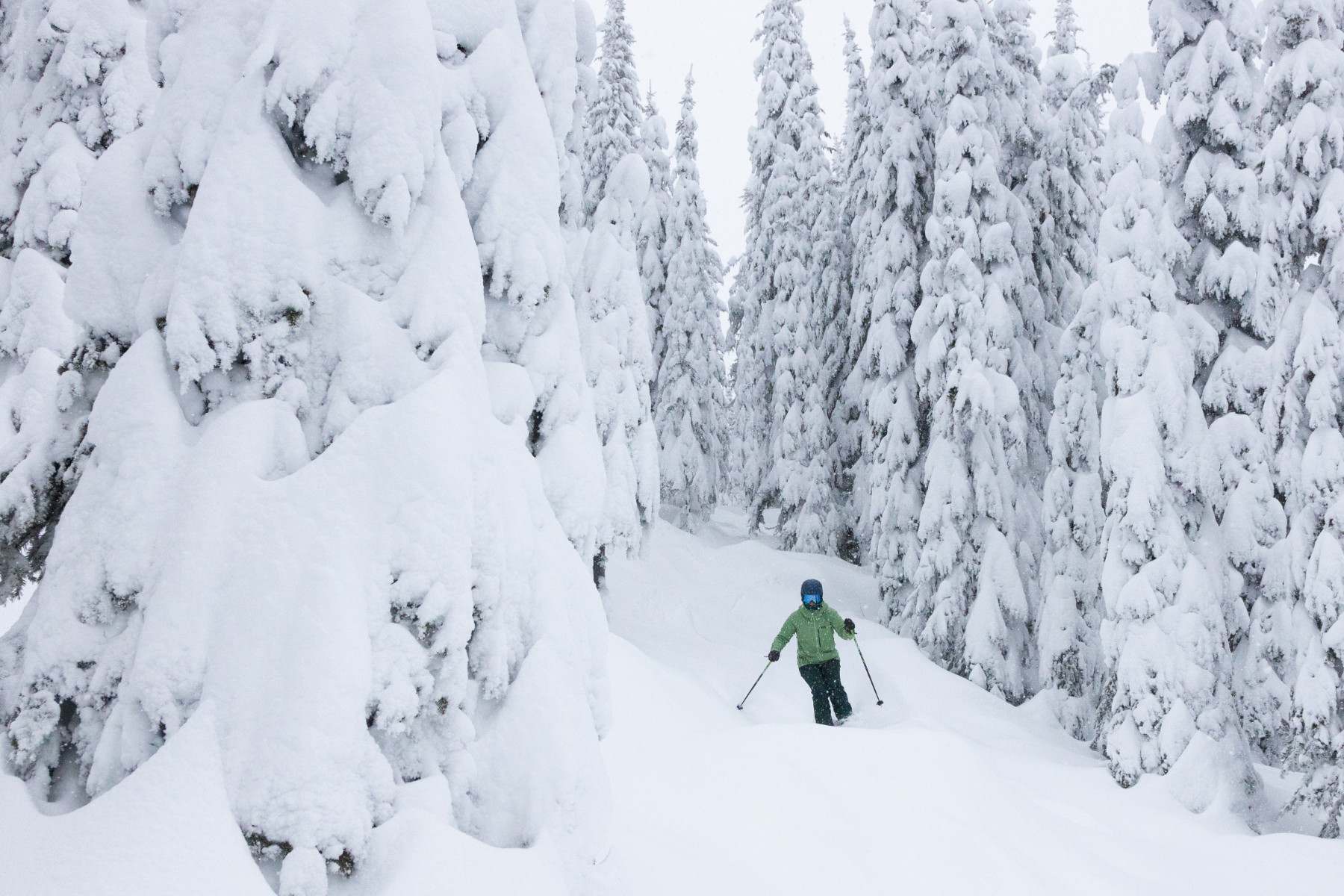 Skier in powder in the trees