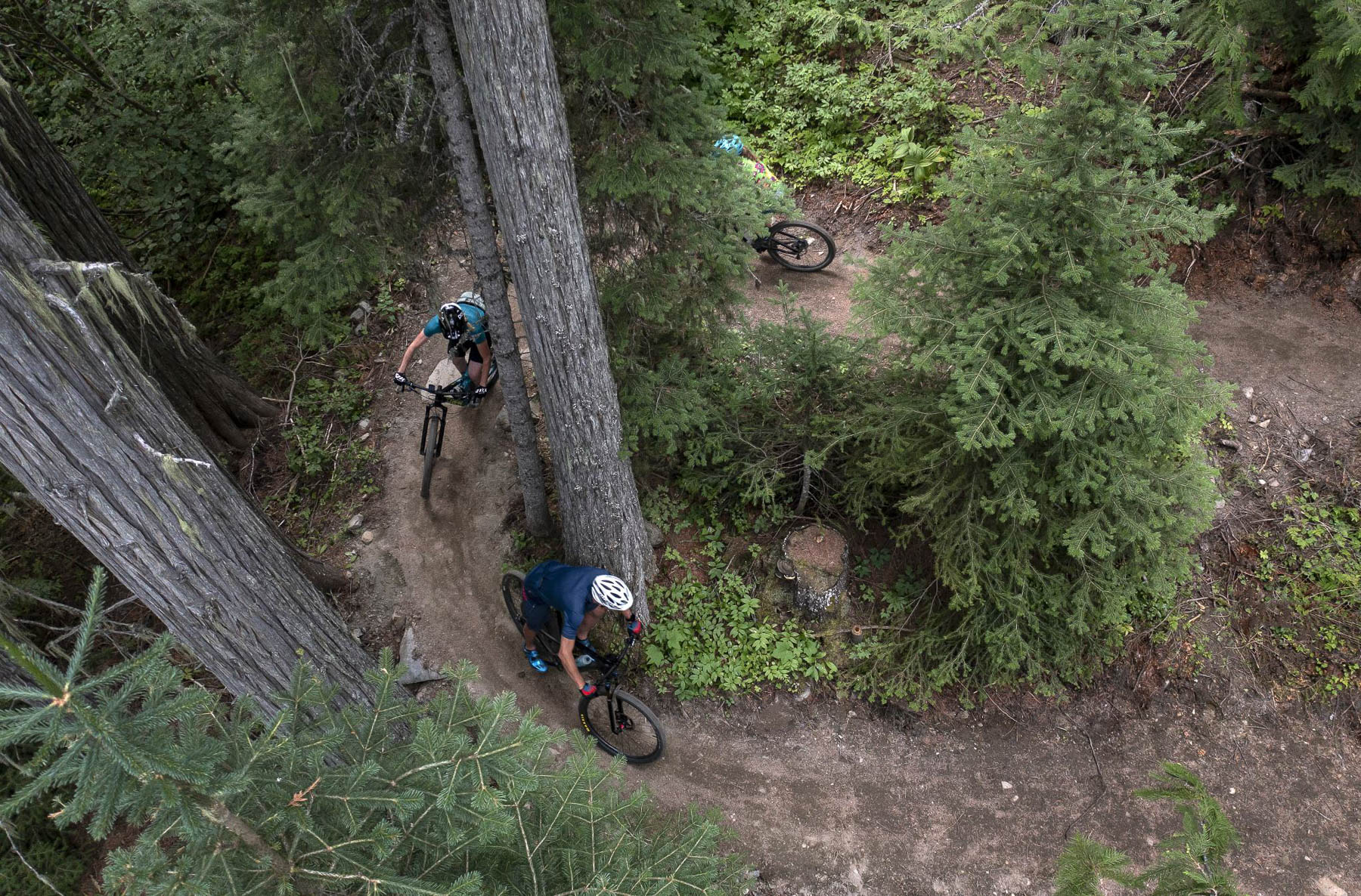 climbing mt morrisey on bikes