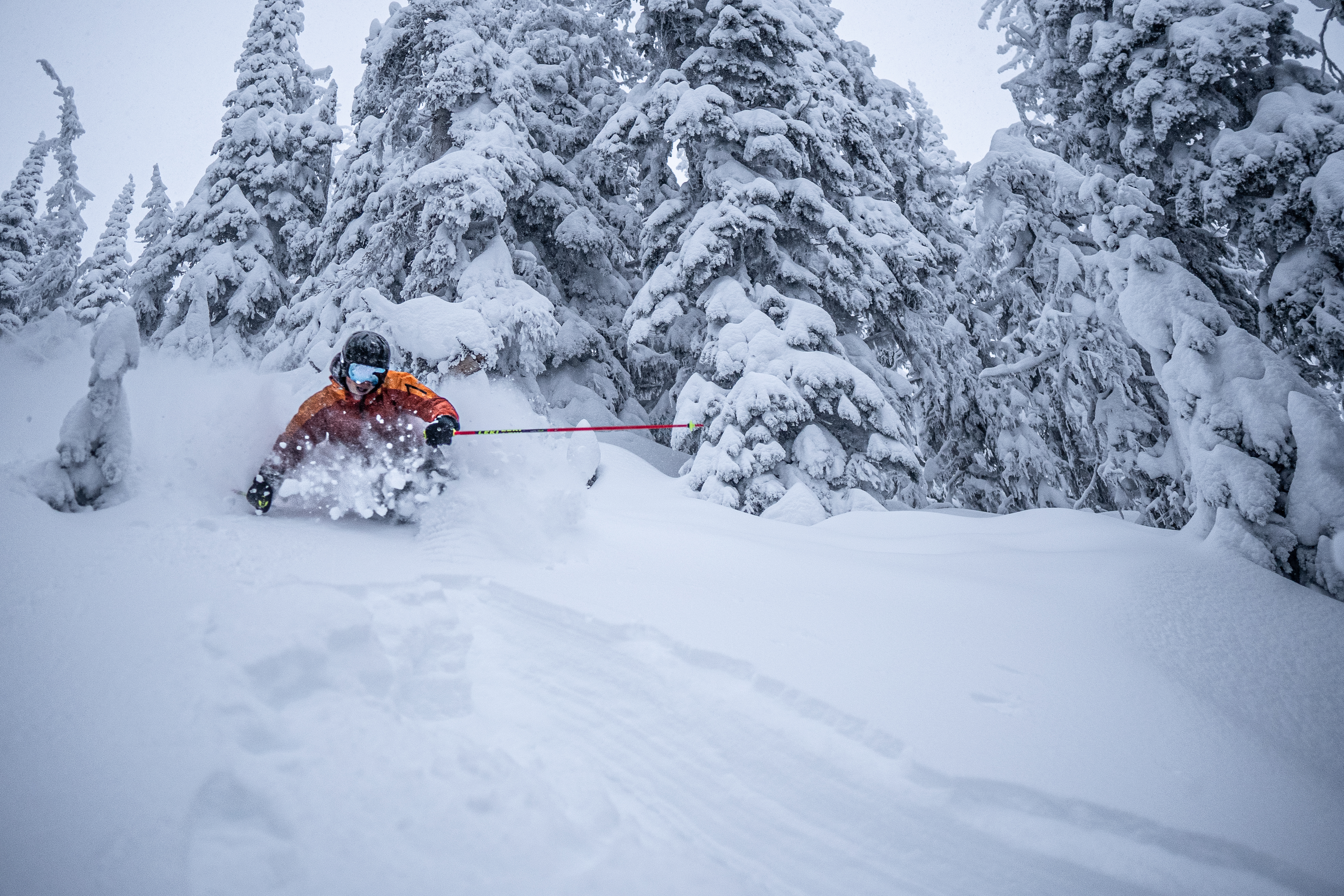 Skiing powder in sun peaks on December 30, 2022