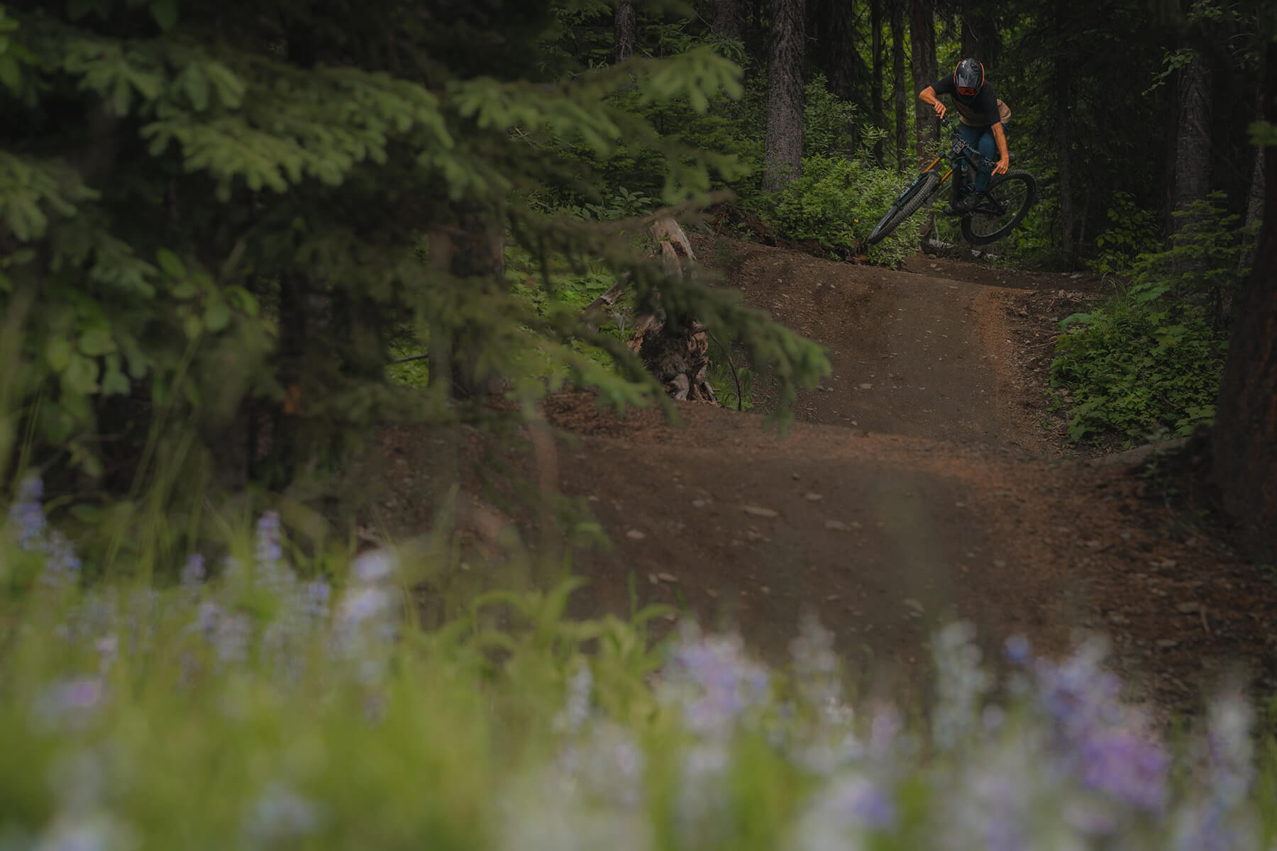 Dylan Sherrard at Sun Peaks Bike Park
