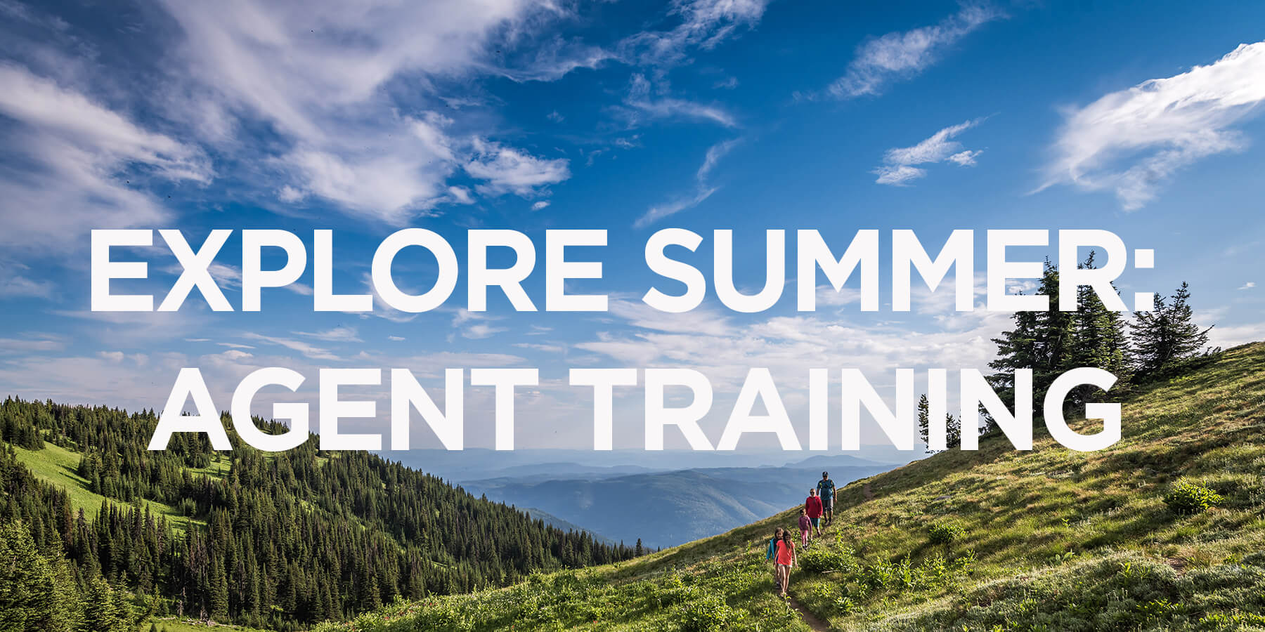 Summer Agent Training