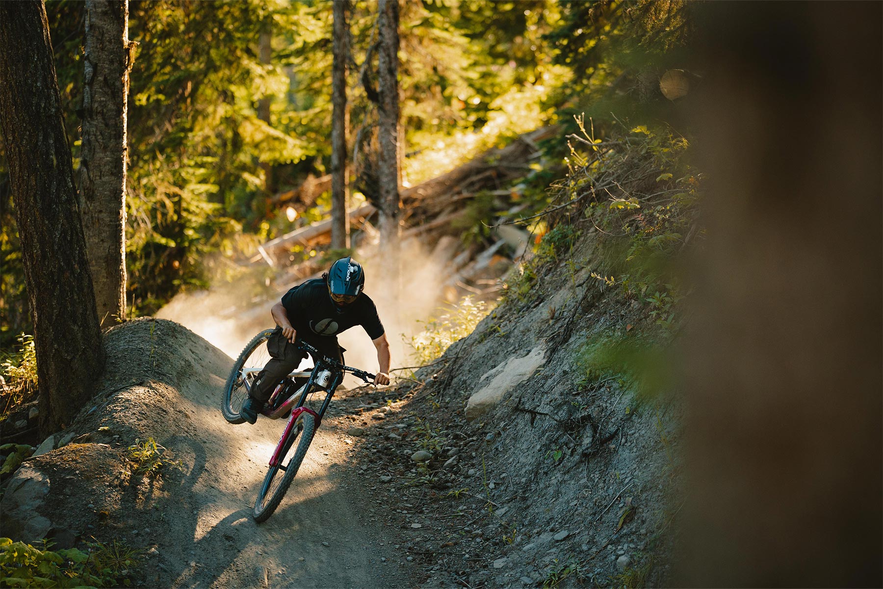 Biker in the trees hitting a jump with sun shining behind him