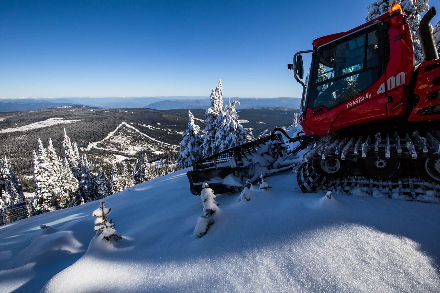Grooming Cat at Sun Peaks Resort