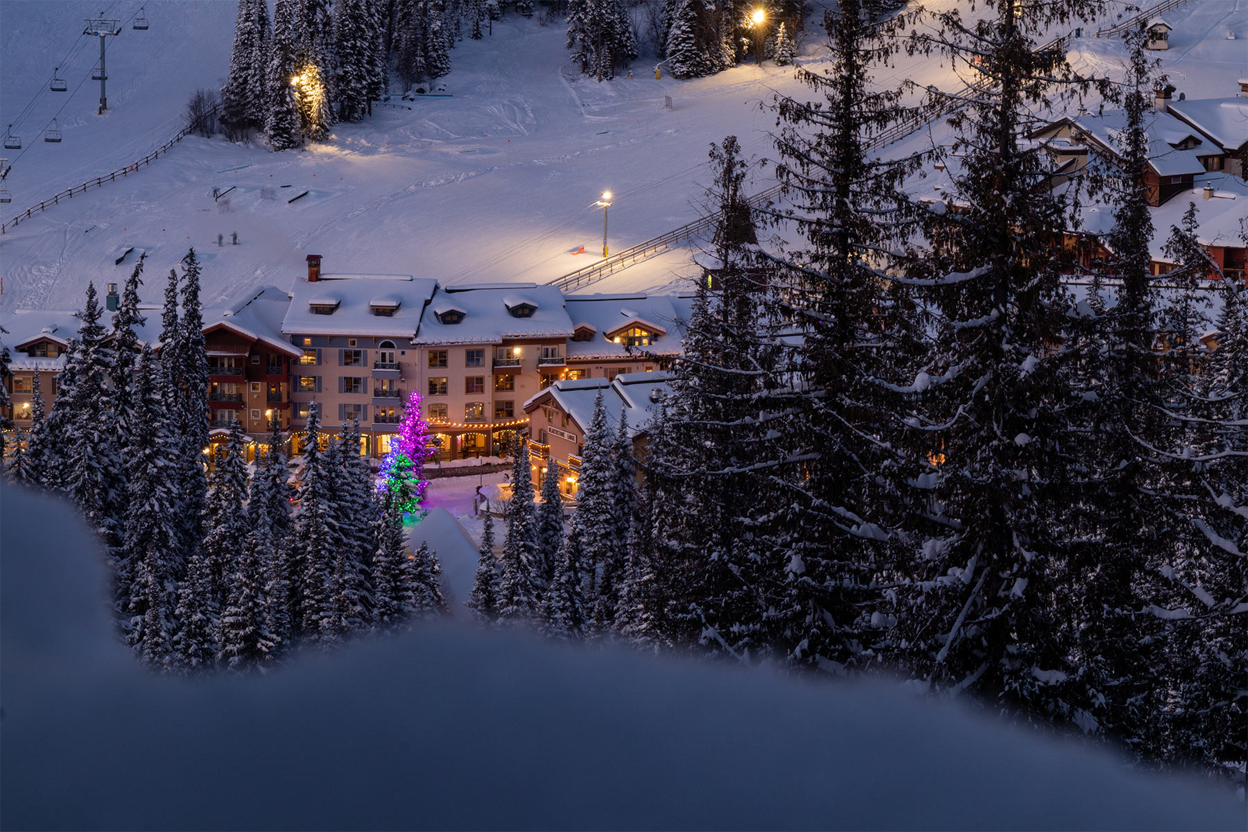 Christmas lights on rooftops viewed from above