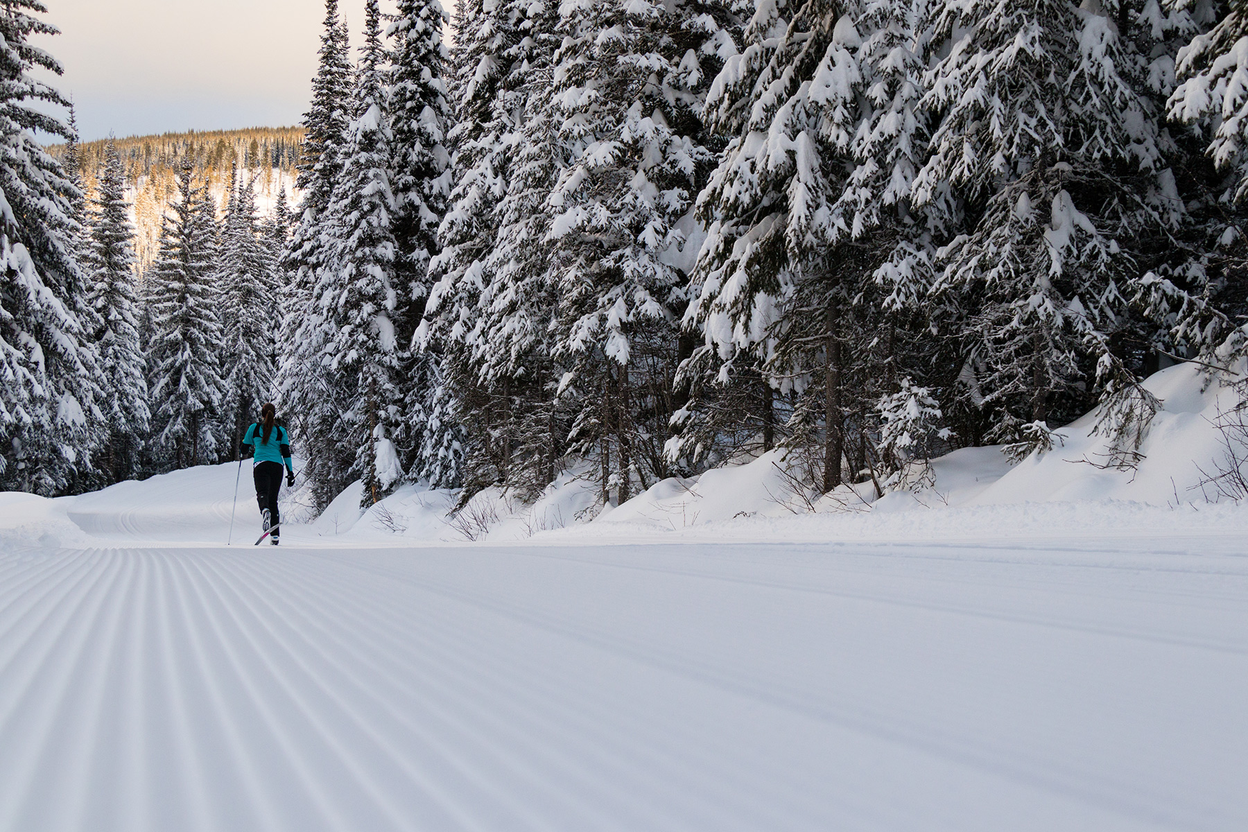 Cross Country Skiing in Sun Peaks