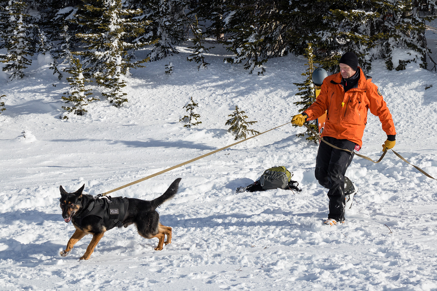Avalanche Training Scenario at Sun Peaks Resort
