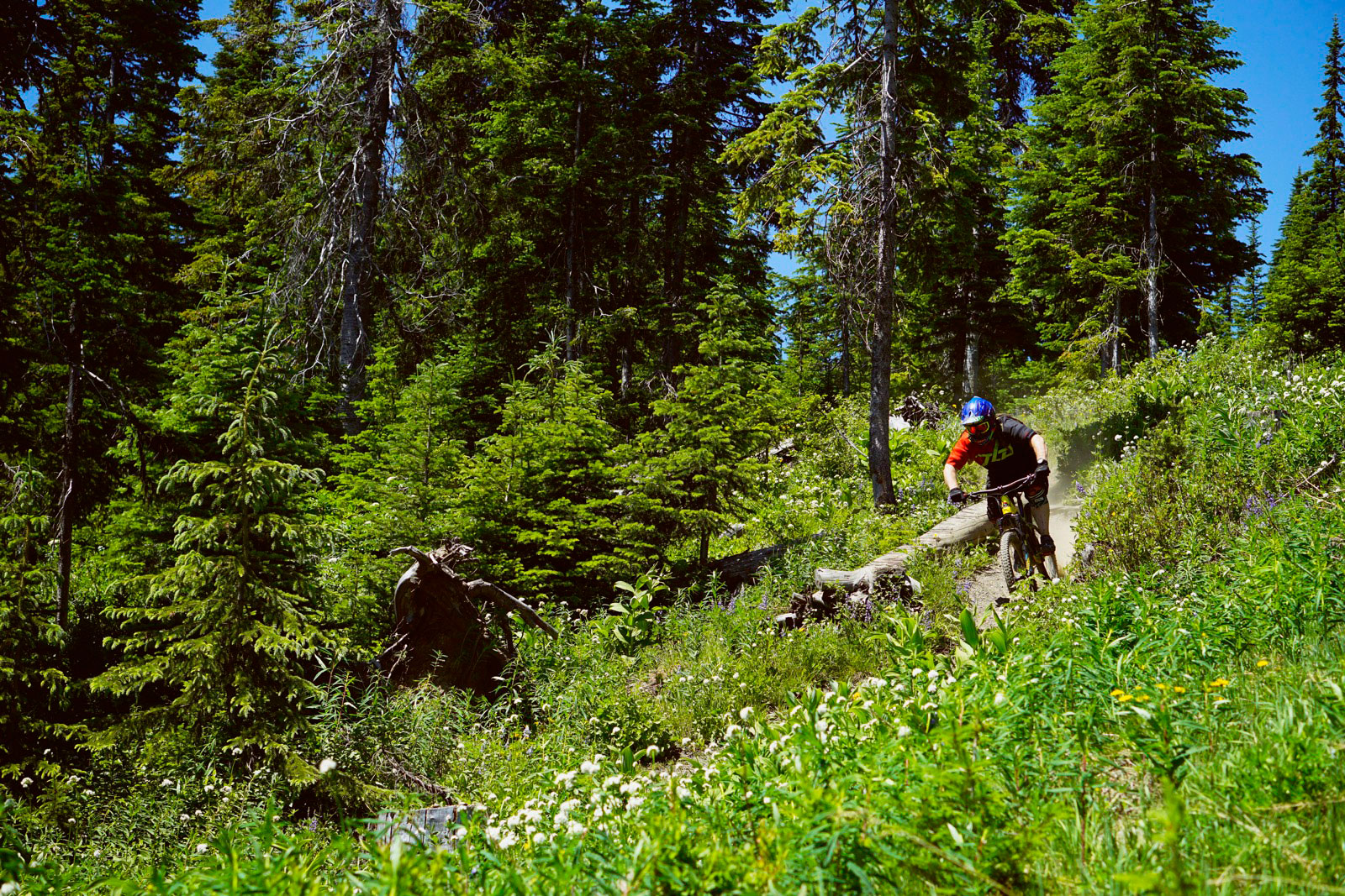Local Laps with Jase Petersen