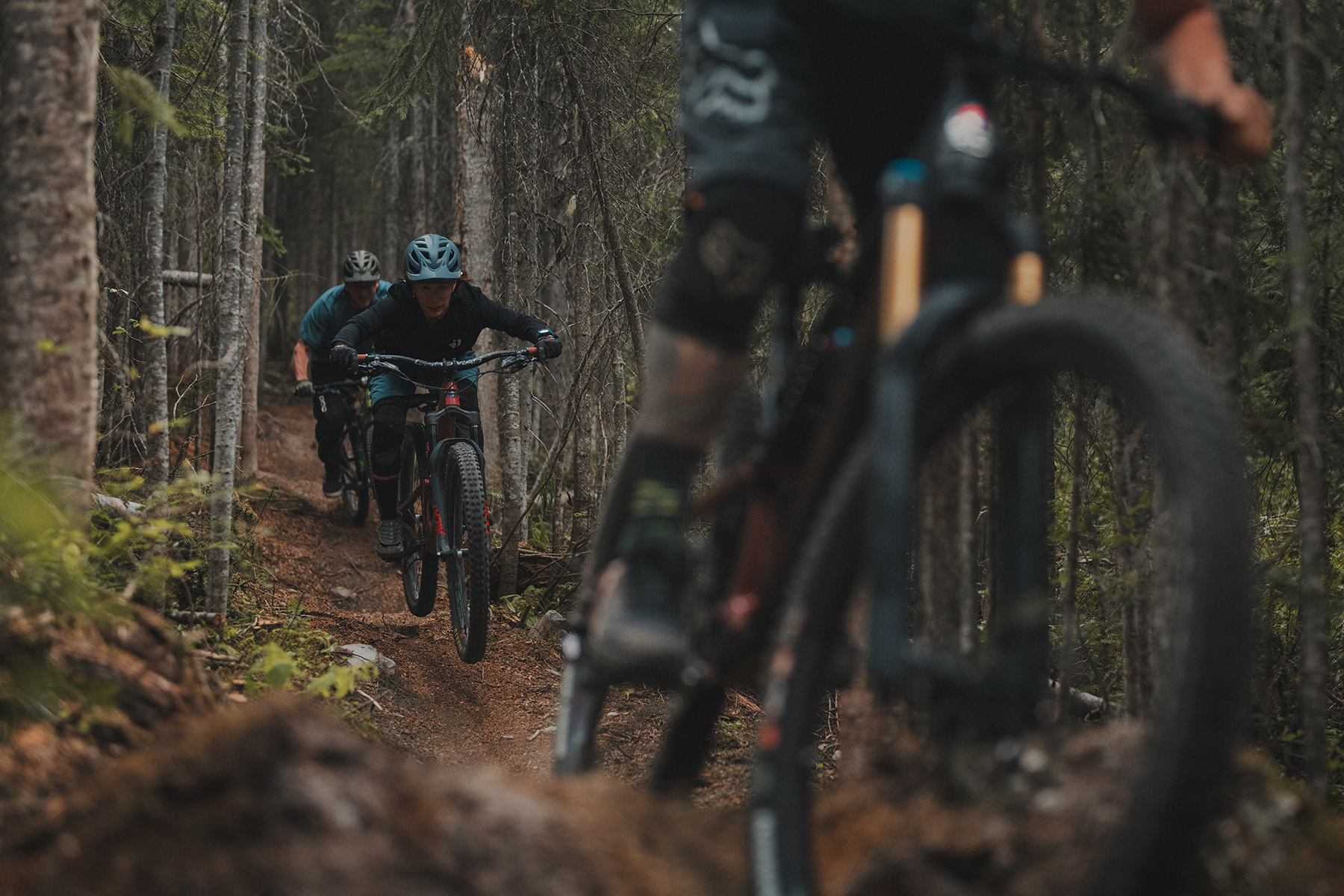 Kelly Kozevnikov and two other riders riding singletrack on Mt. Morrisey
