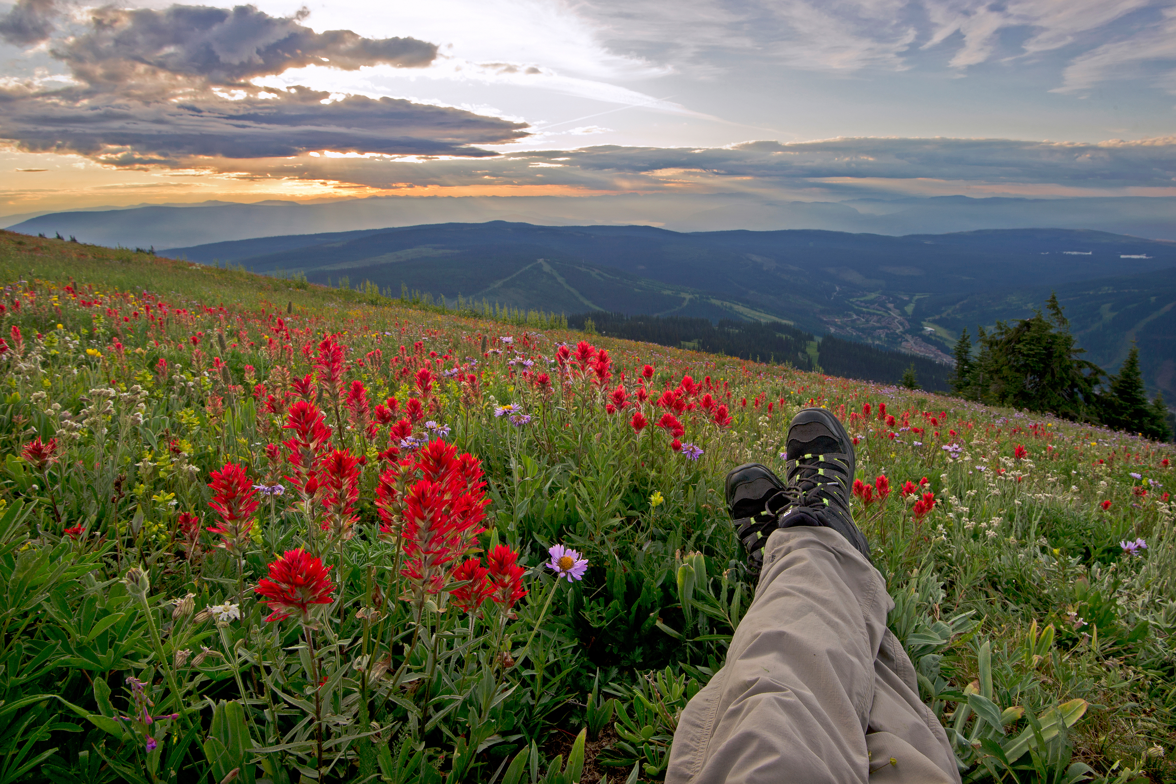 Hiking in the wildflowers