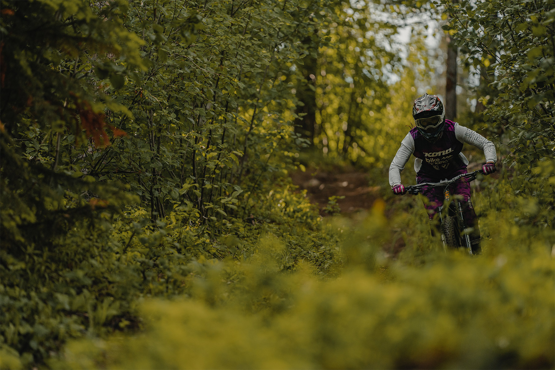 Mountain biker riding through lush green leaves