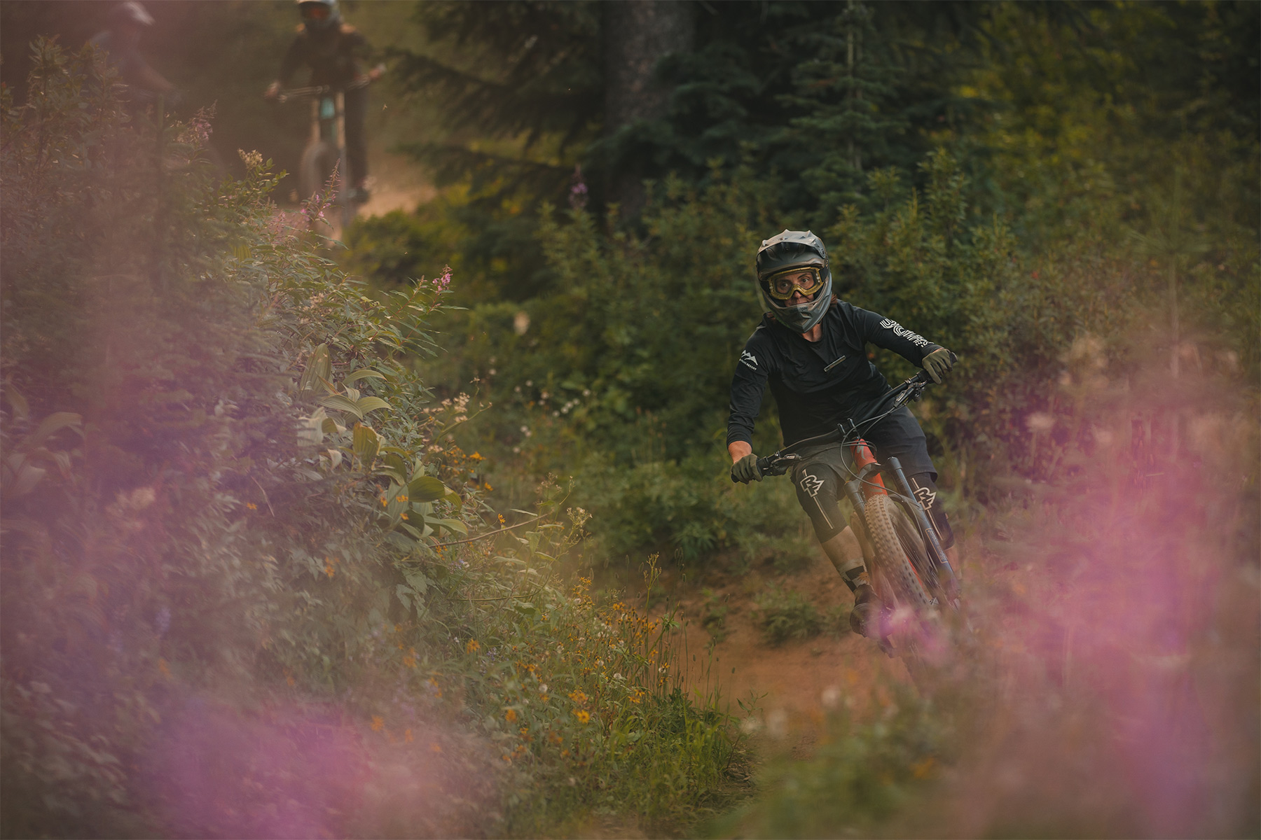 Mountain biker rides down trail with purple flowers to either side