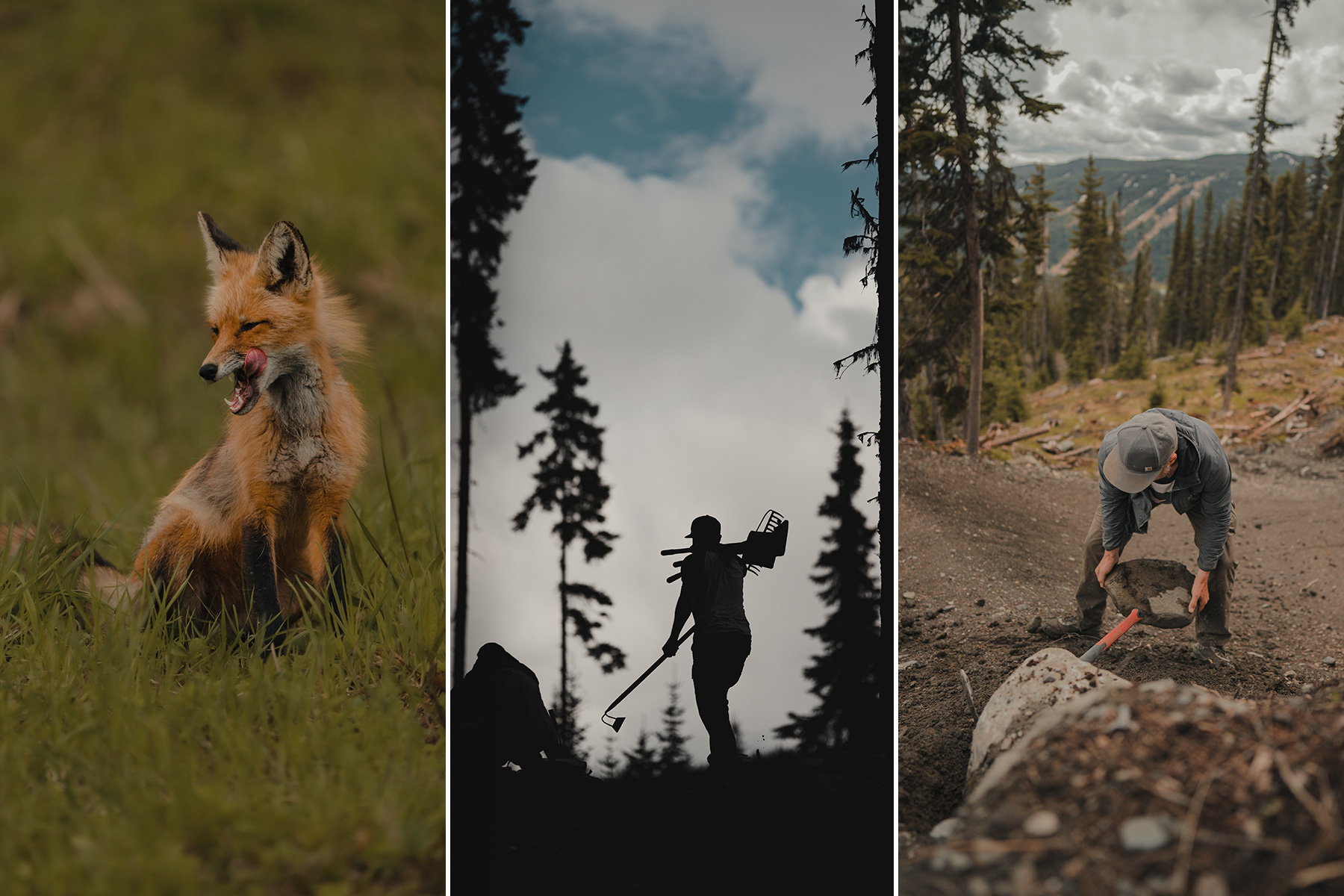 Collage of scenic mountain and trail building photos