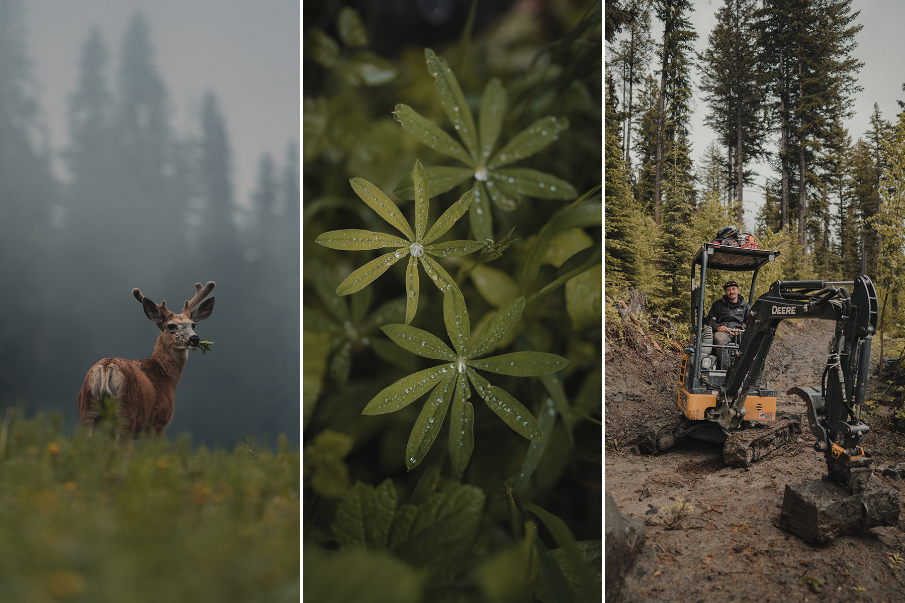 Collage of scenic mountain photos