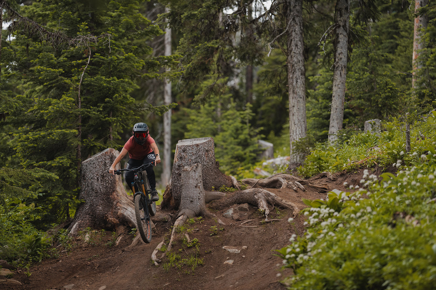 DH rider jumping stump at Sun Peaks Bike Park