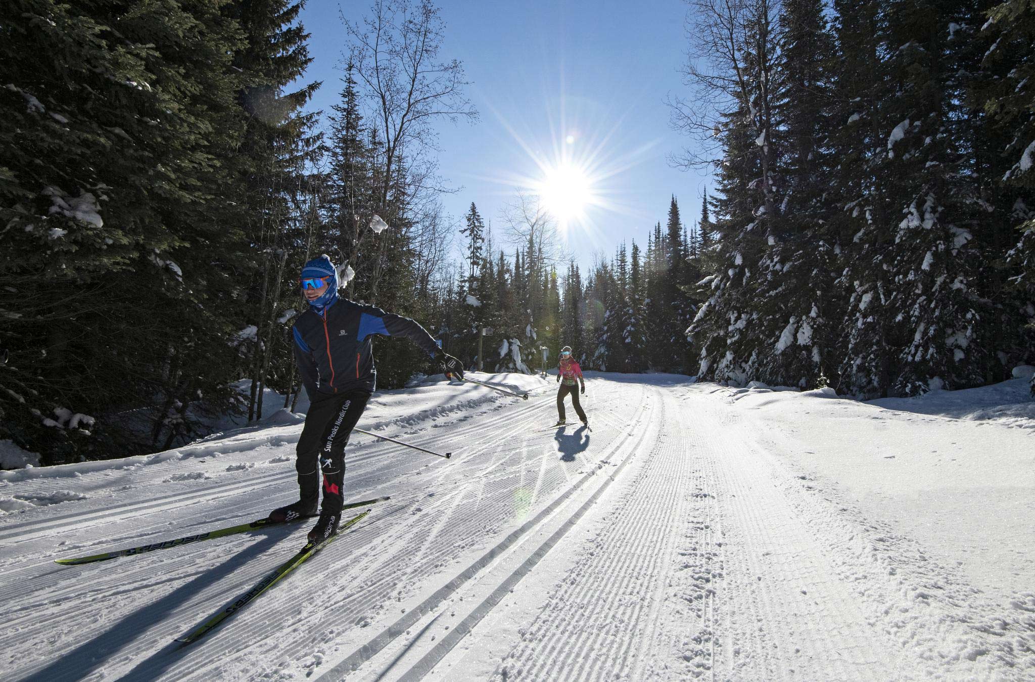 Two Nordic skiers classic ski along the Nordic trails on a sunny day.