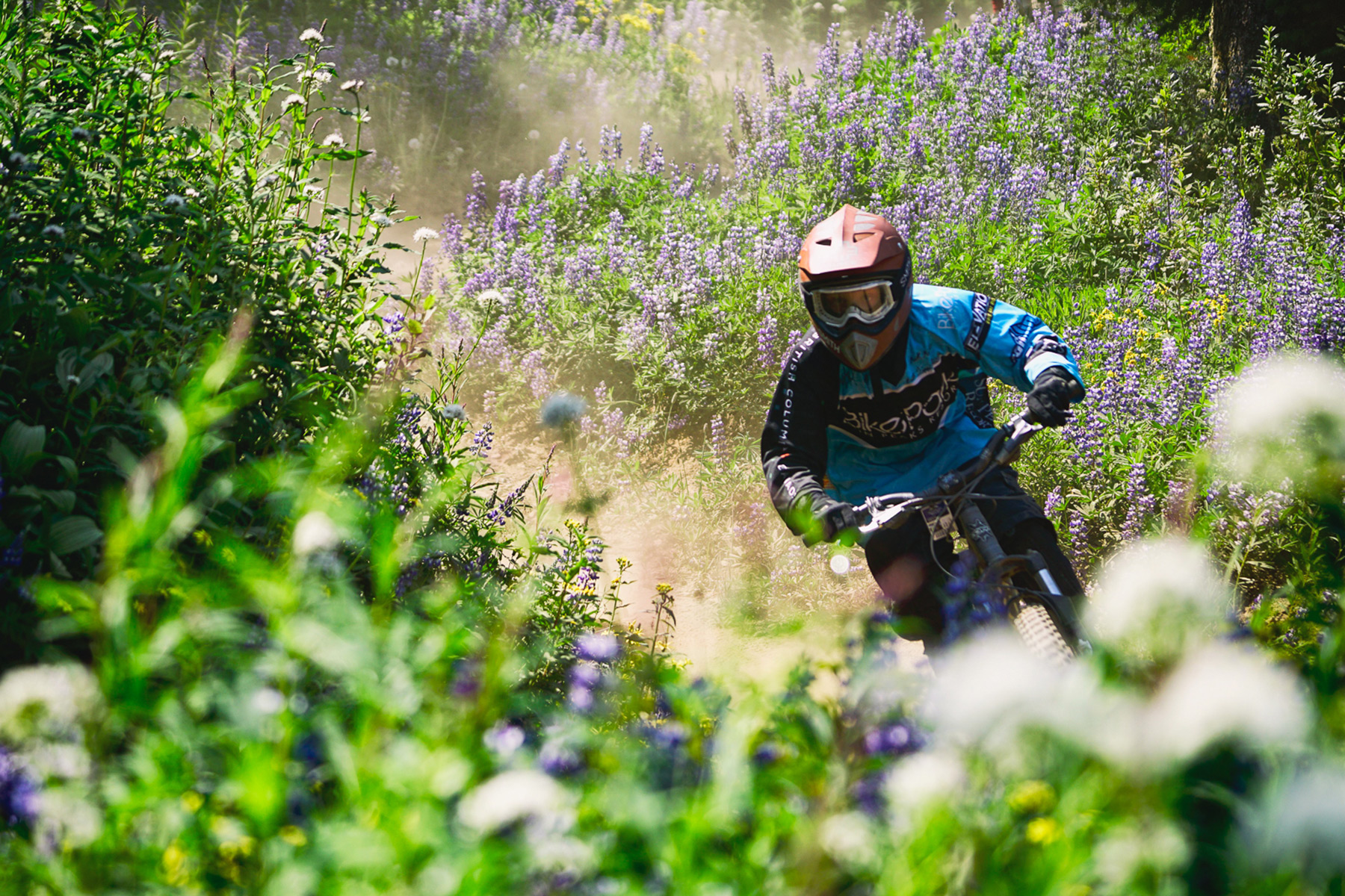 Peak of the Season - Riding through wildflowers in the Bike Park