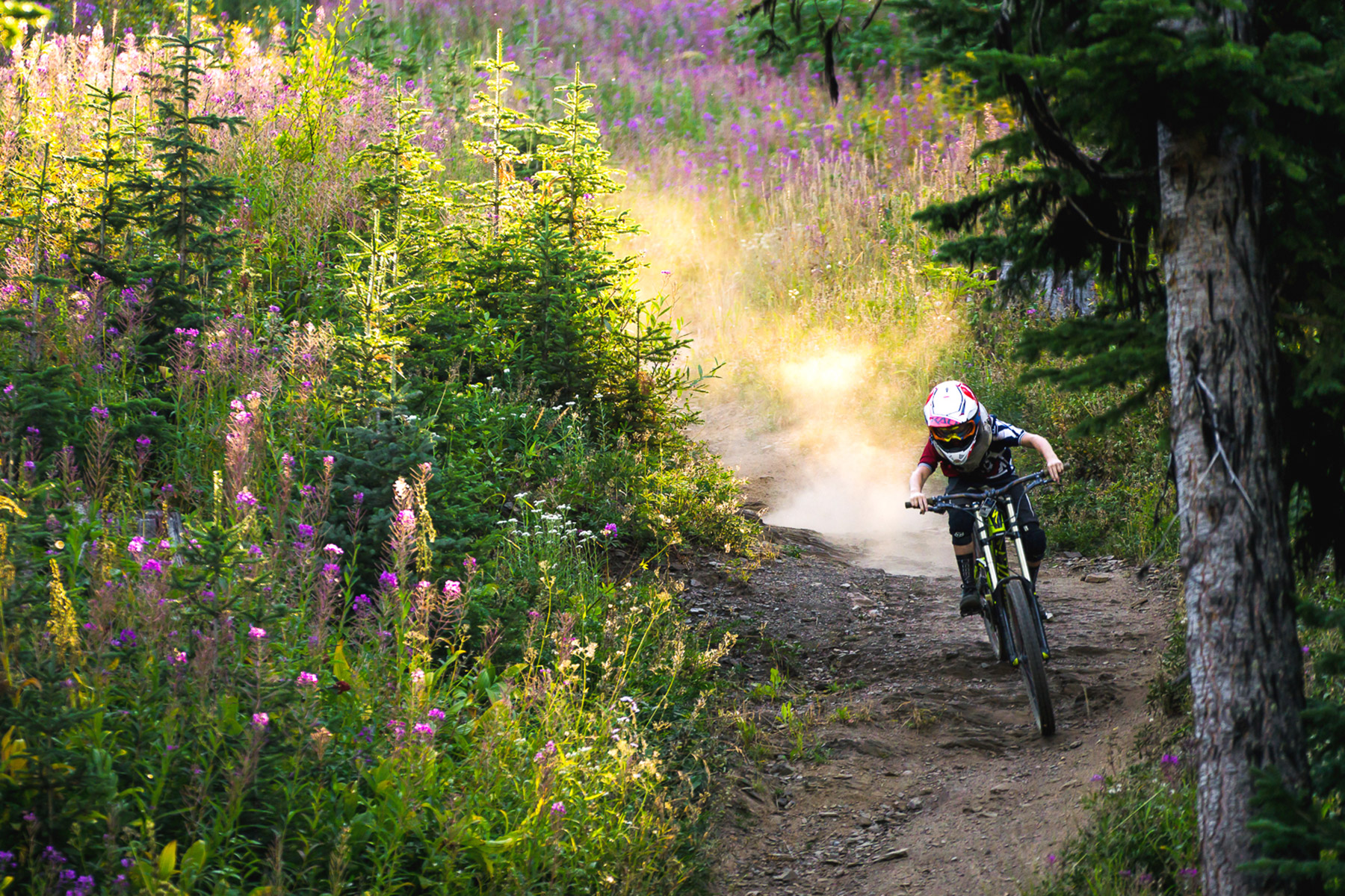 Peak of the Season - Kid riding in Bike Park