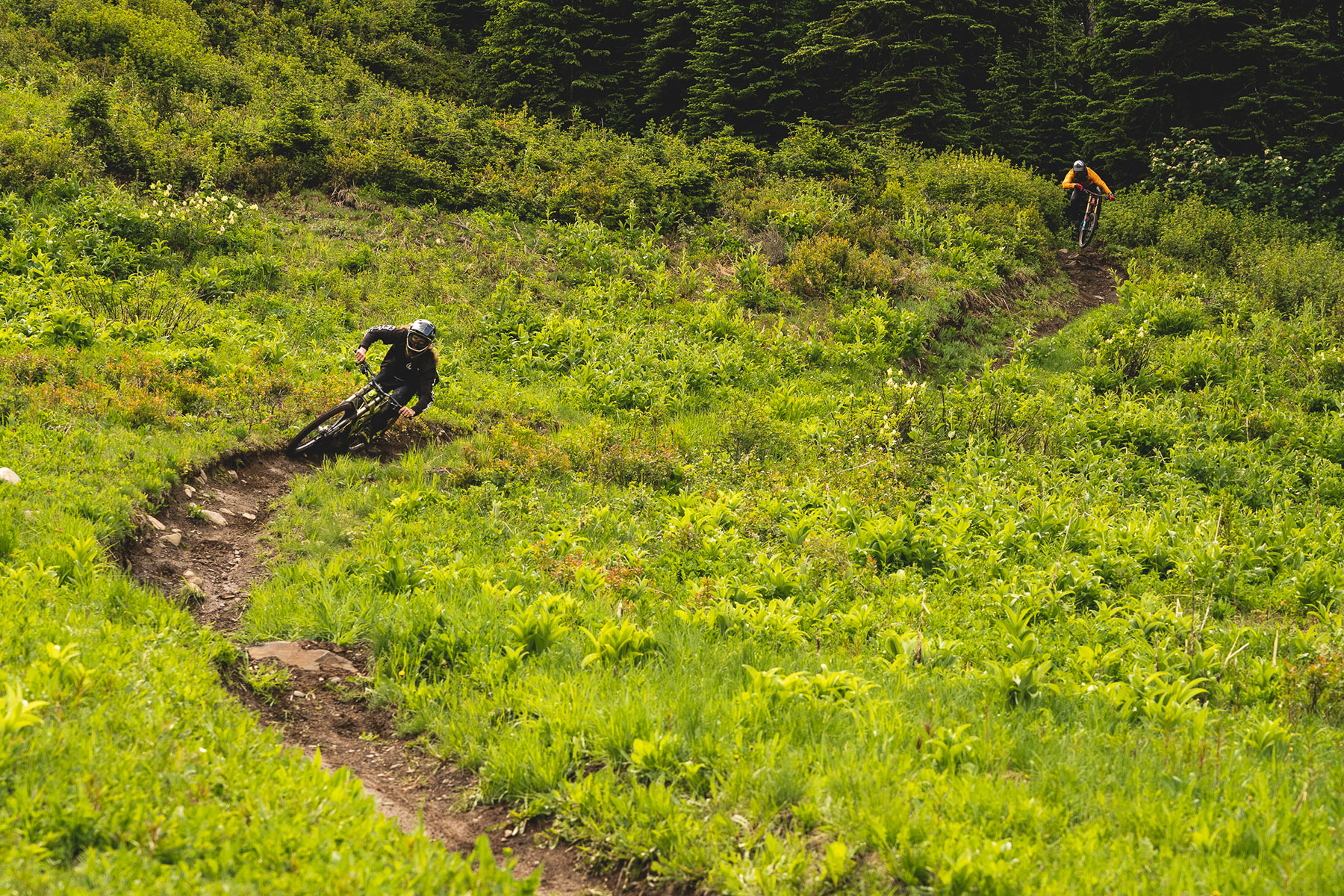 The Peak of the Season: A Tacky Turn