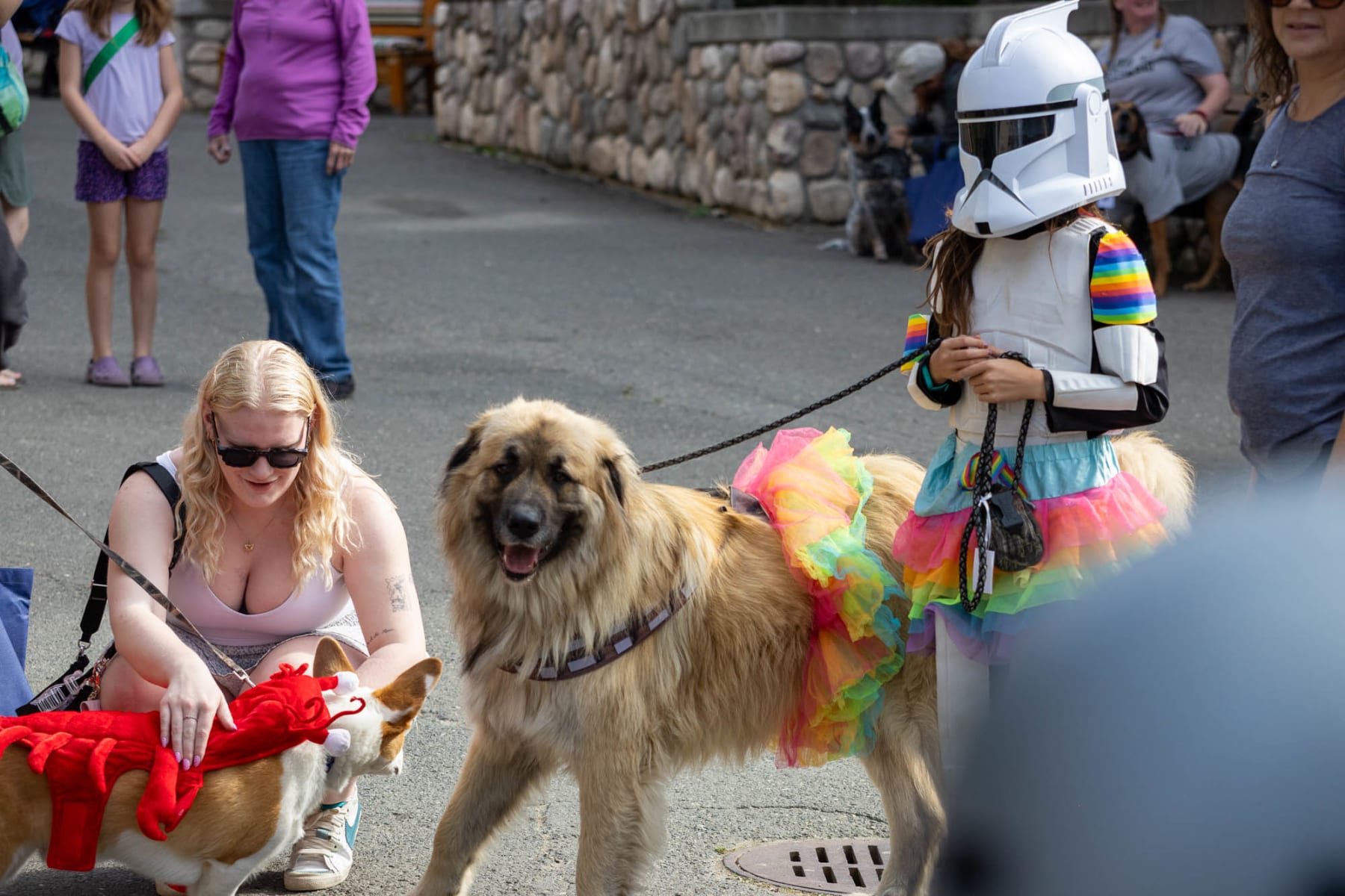 Dog parade in Sun Peaks. Two dogs in costumes with their owners.