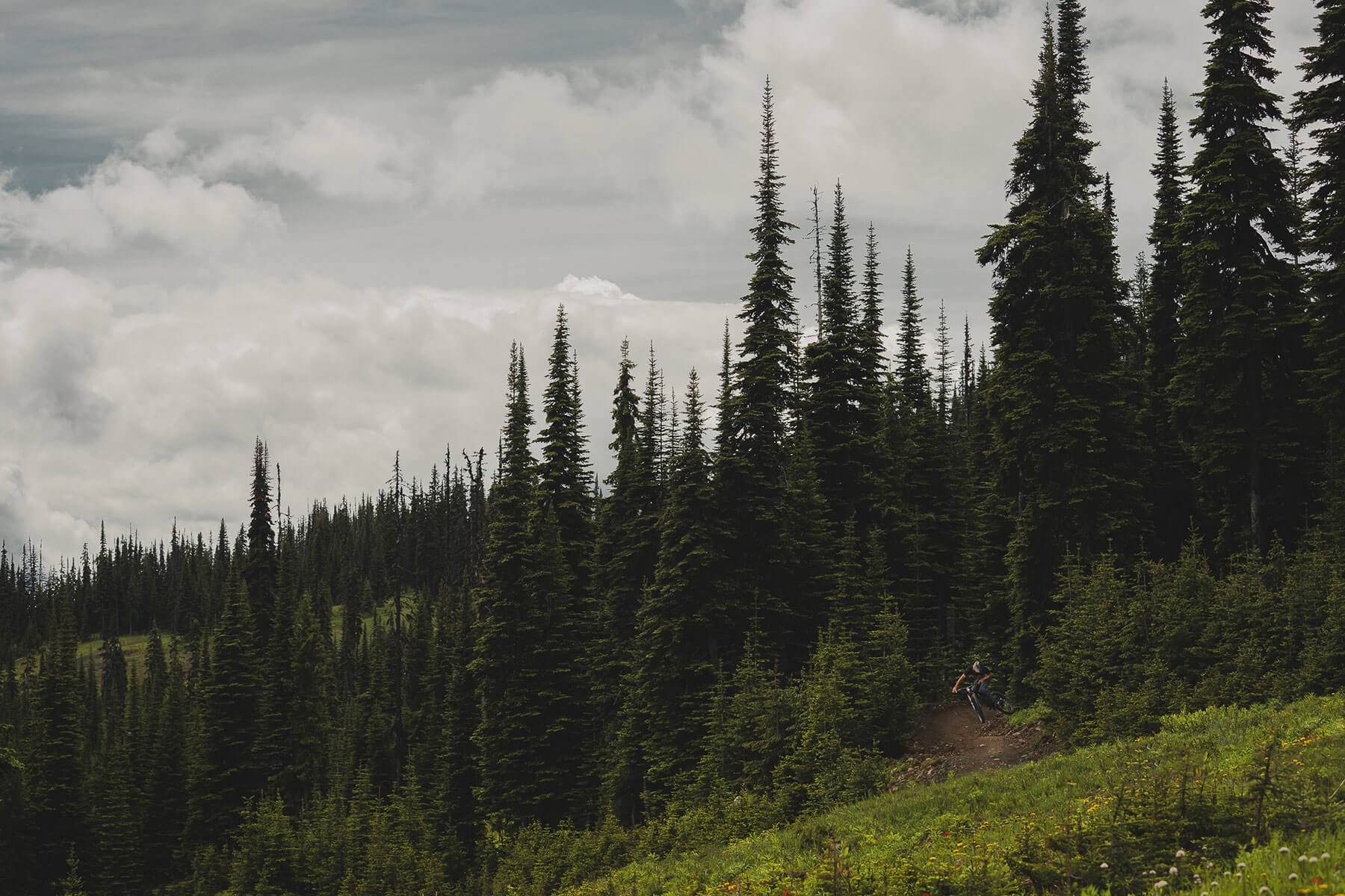 Riding in the Sun Peaks Bike Park