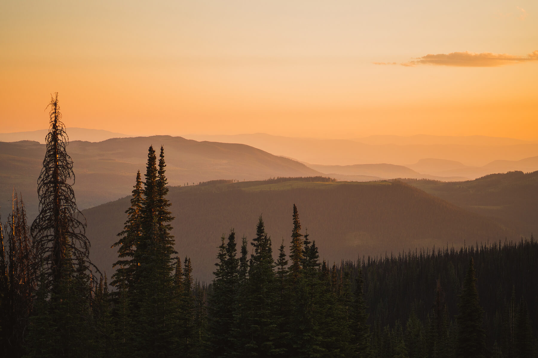 Summer Sunset in Sun Peaks