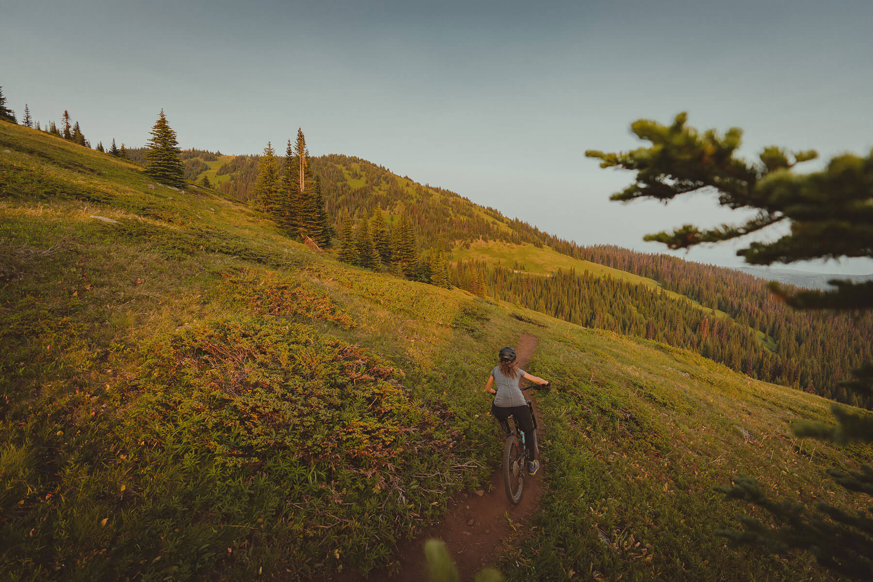 Alpine Riding in the Sun Peaks Bike Park