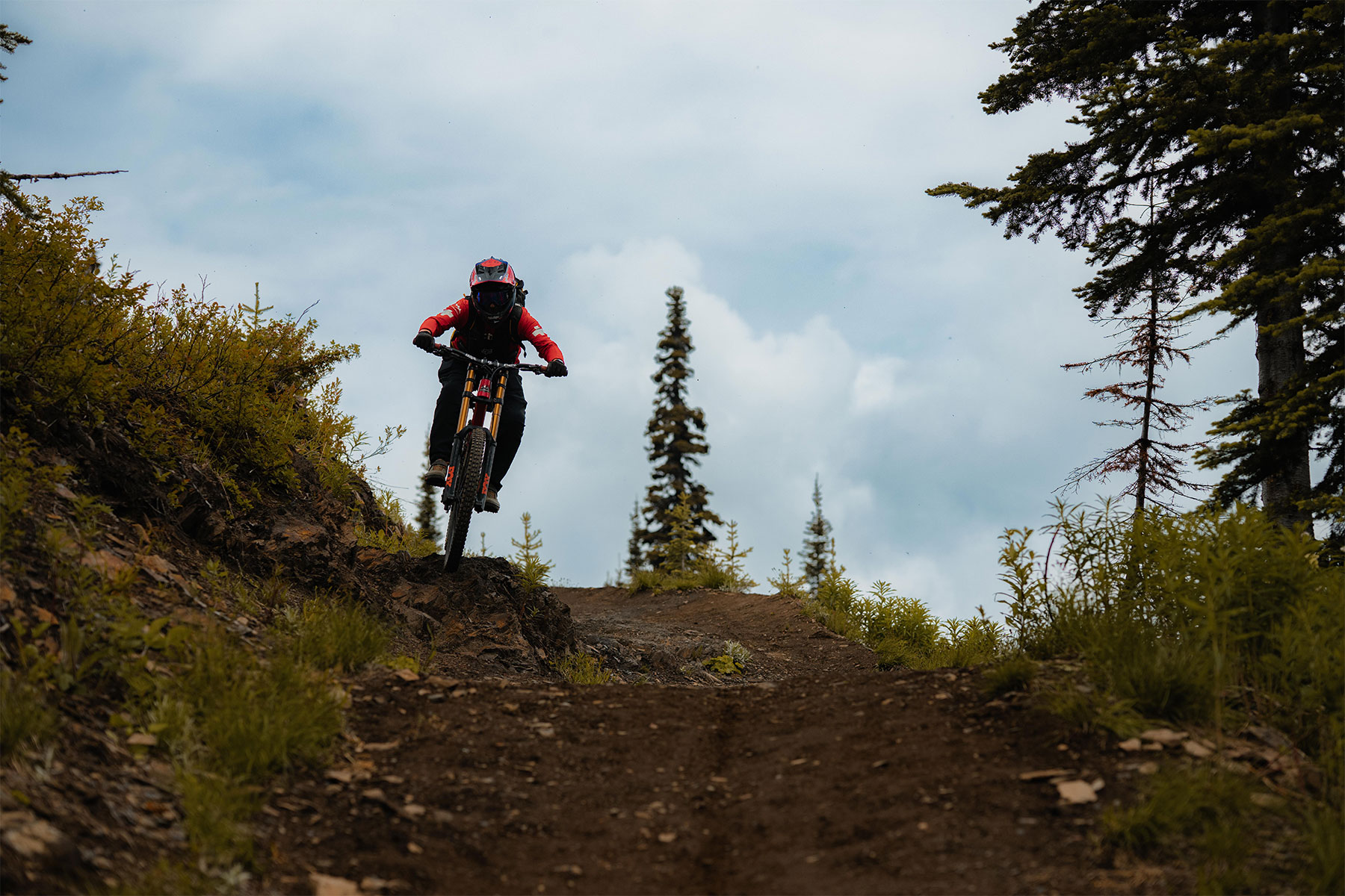 biker hitting a rock while biking towards the camera with trees around them.
