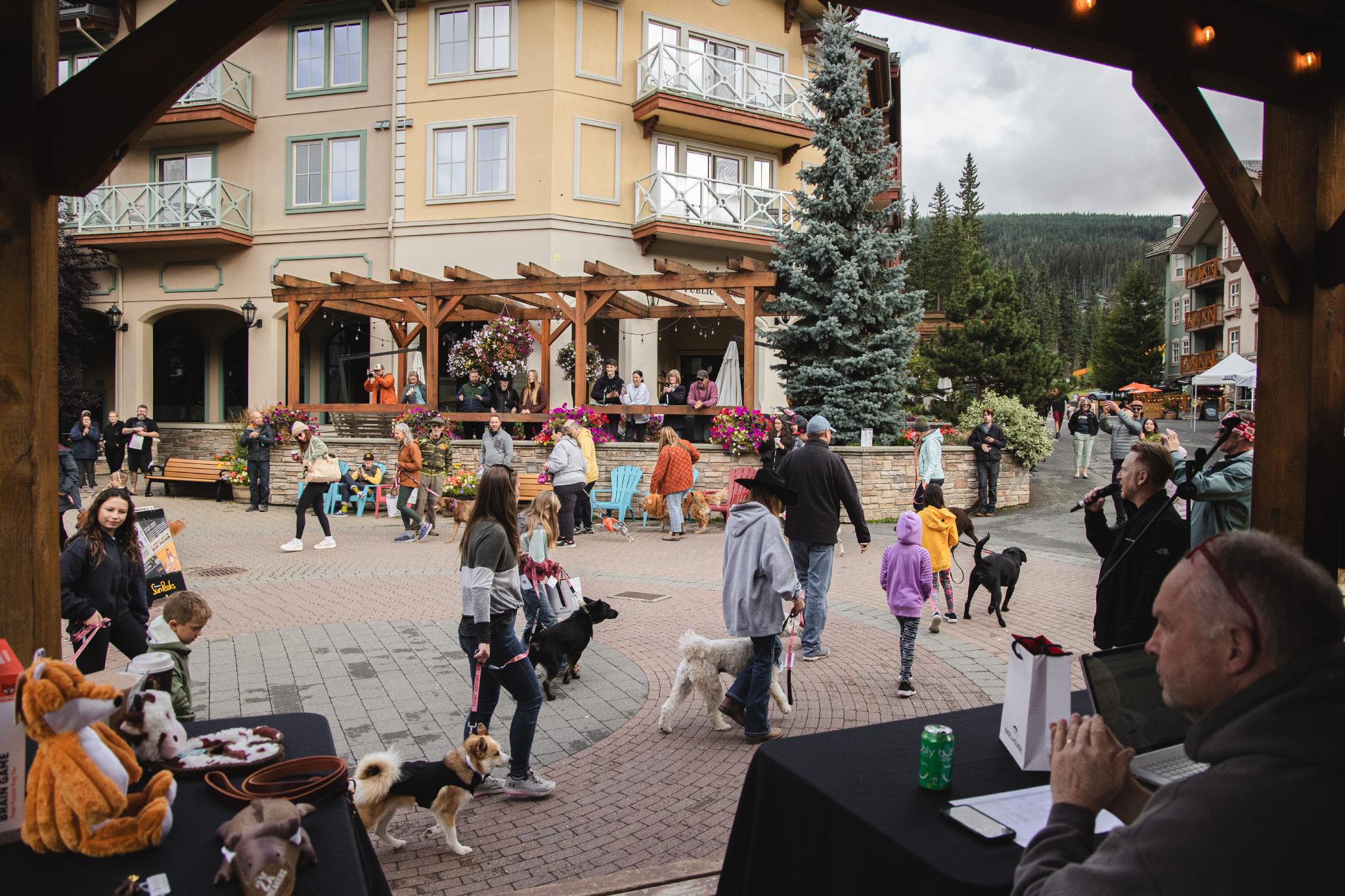 Pup parade in Sun Peaks village
