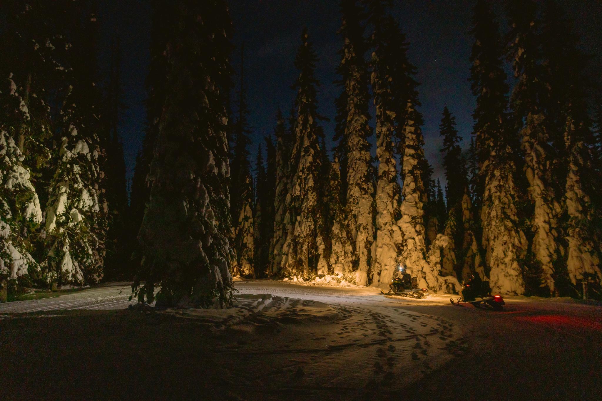 Snowmobiles at night in a snowy forest.