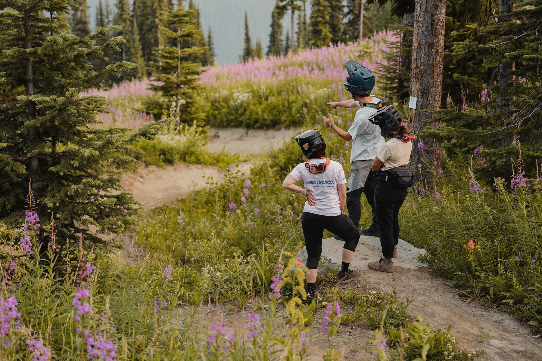 Three mountain bikers stand on a rock and look at a trail with wildflowers on each side.