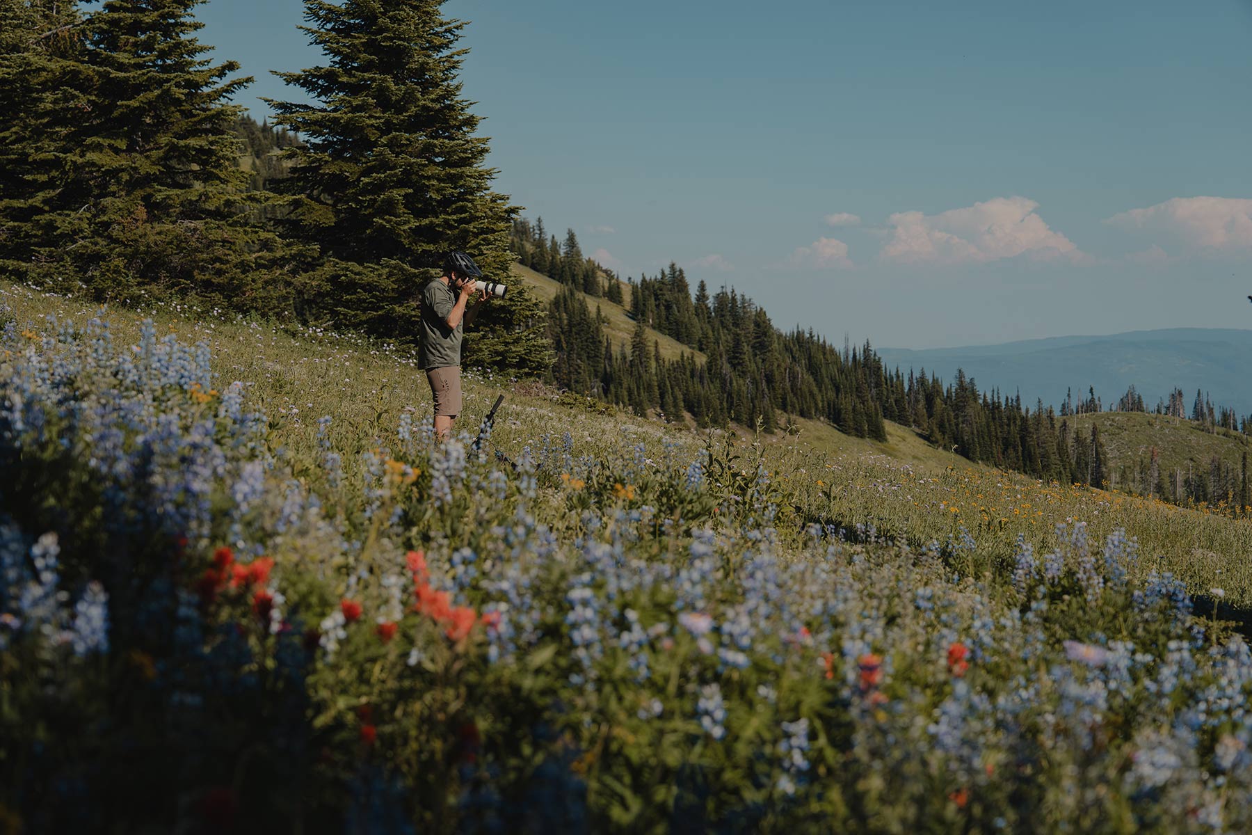 A mountain biker stands in an alpine meadow, full of wildflowers, with a camera. 