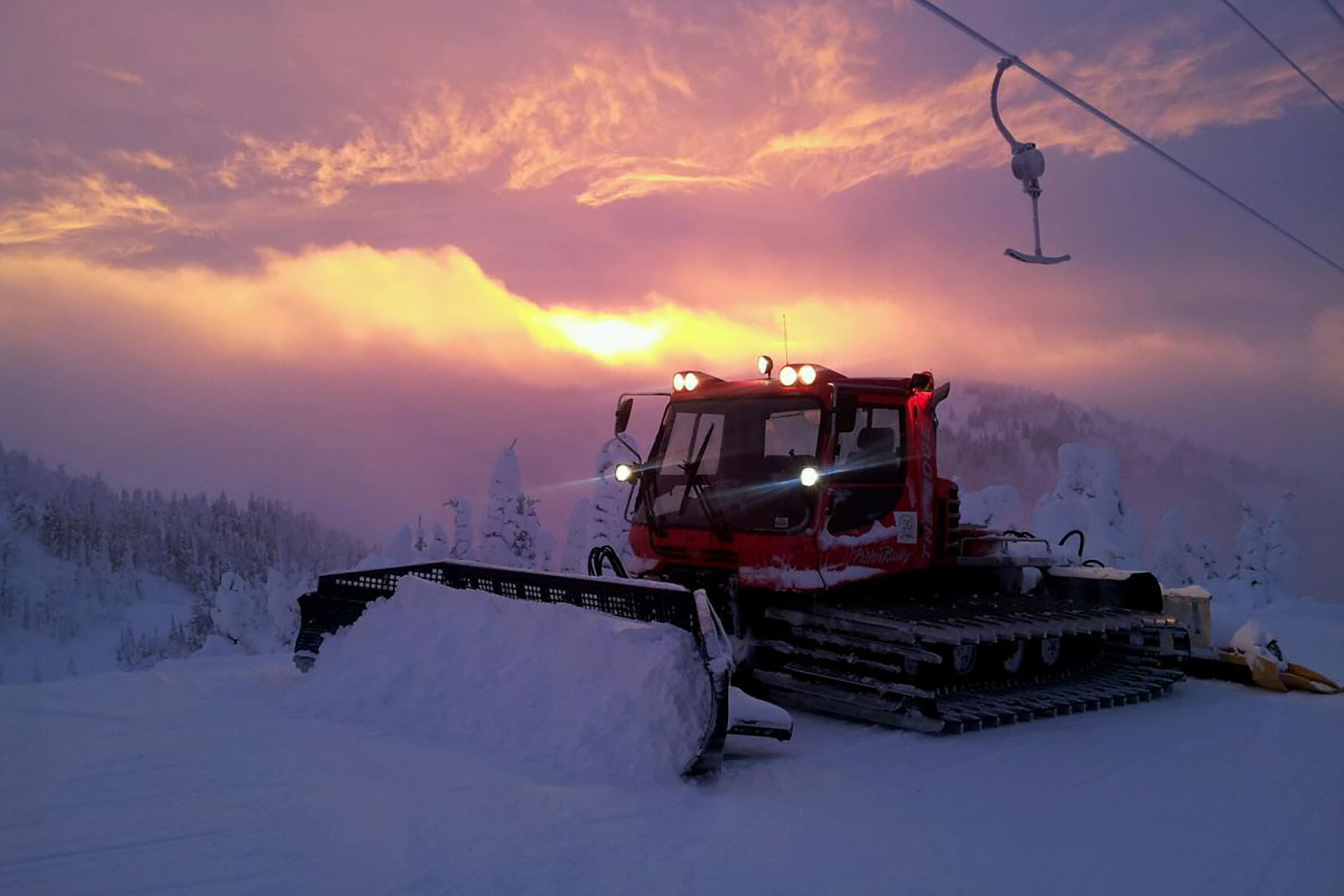 Grooming cat at sunset