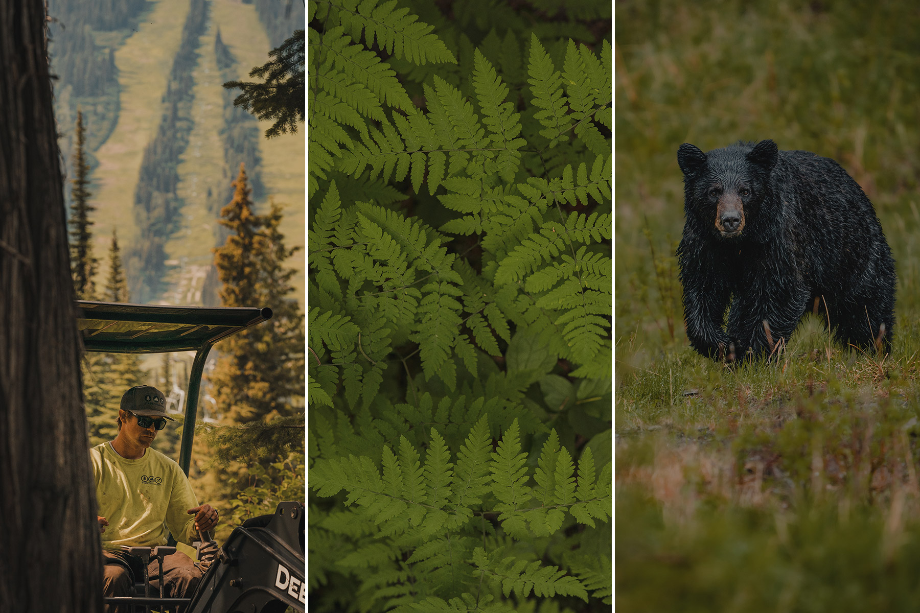 Collage of scenic mountain and trail building photos