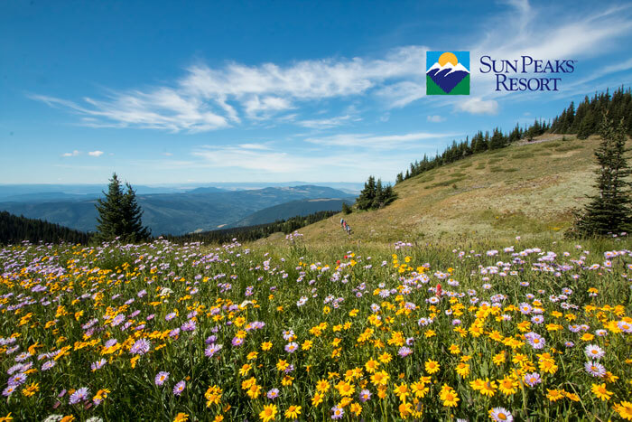 Sun Peaks Hike