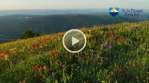 Sun Peaks Video Background