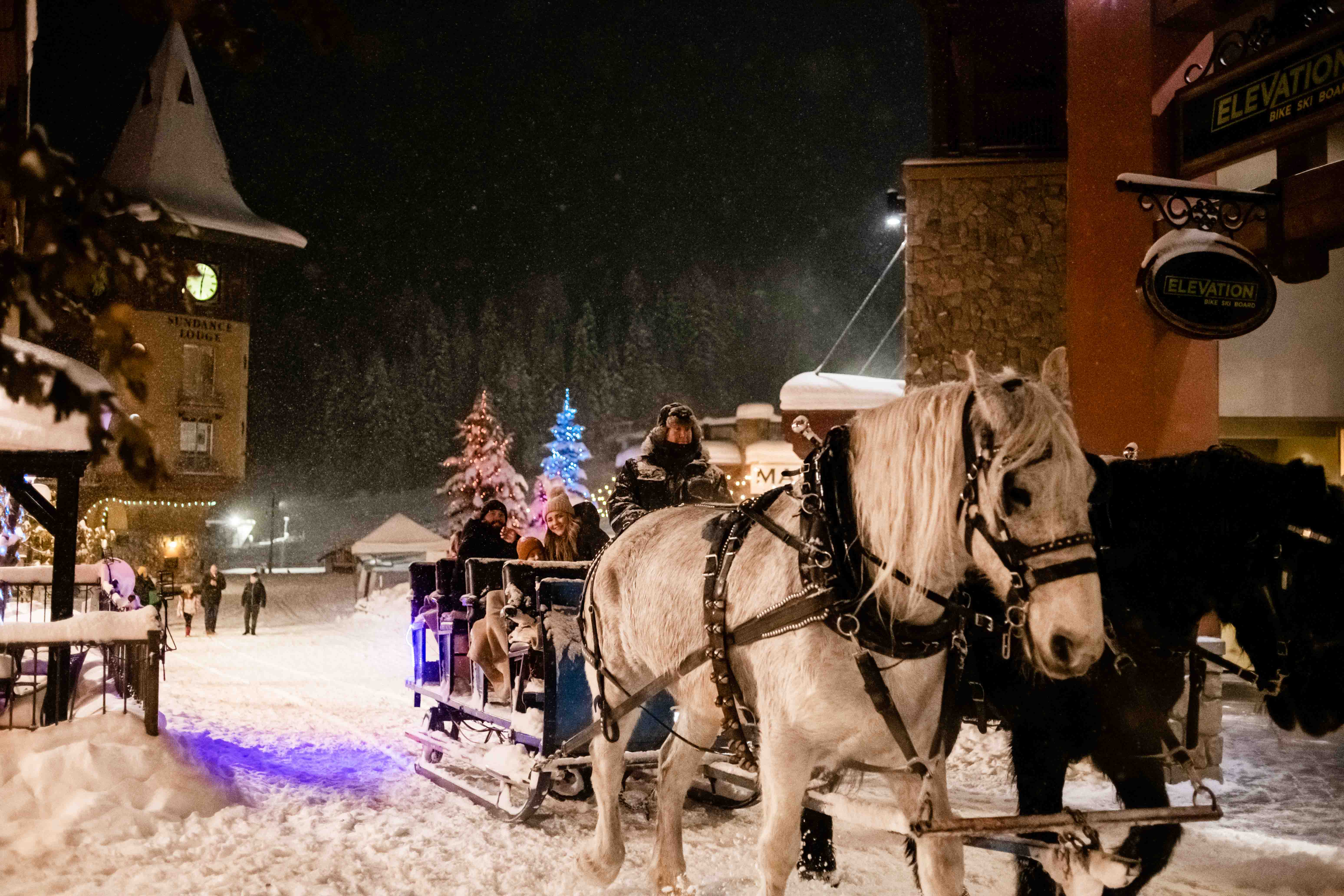 family on horse-drawn sleigh ride in sun peaks village