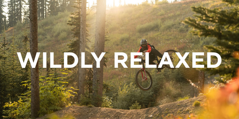 Forest with sun streaming through the trees and person taking a jump on a bike trail