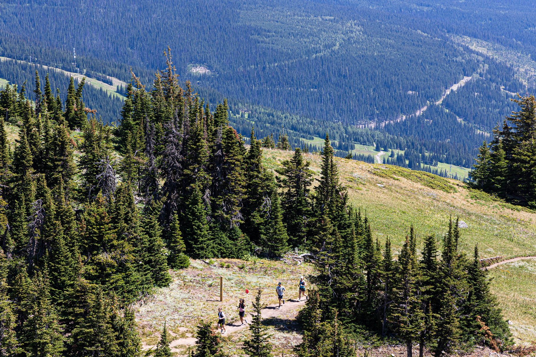 runners in the alpine