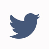 Twitter Icon
